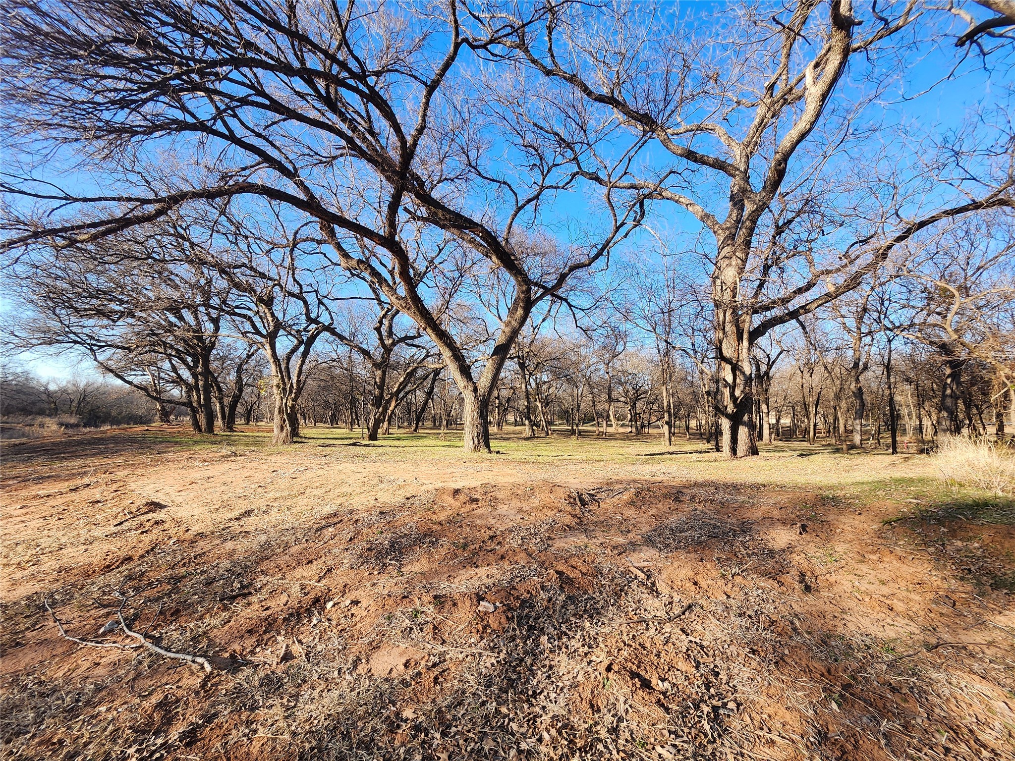 100 Fairway Drive Nocona TX 76255