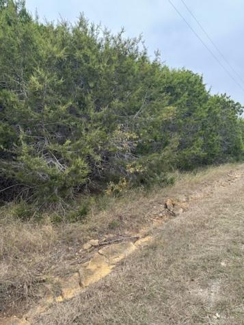 12048 Shady Creek Drive Whitney TX 76692