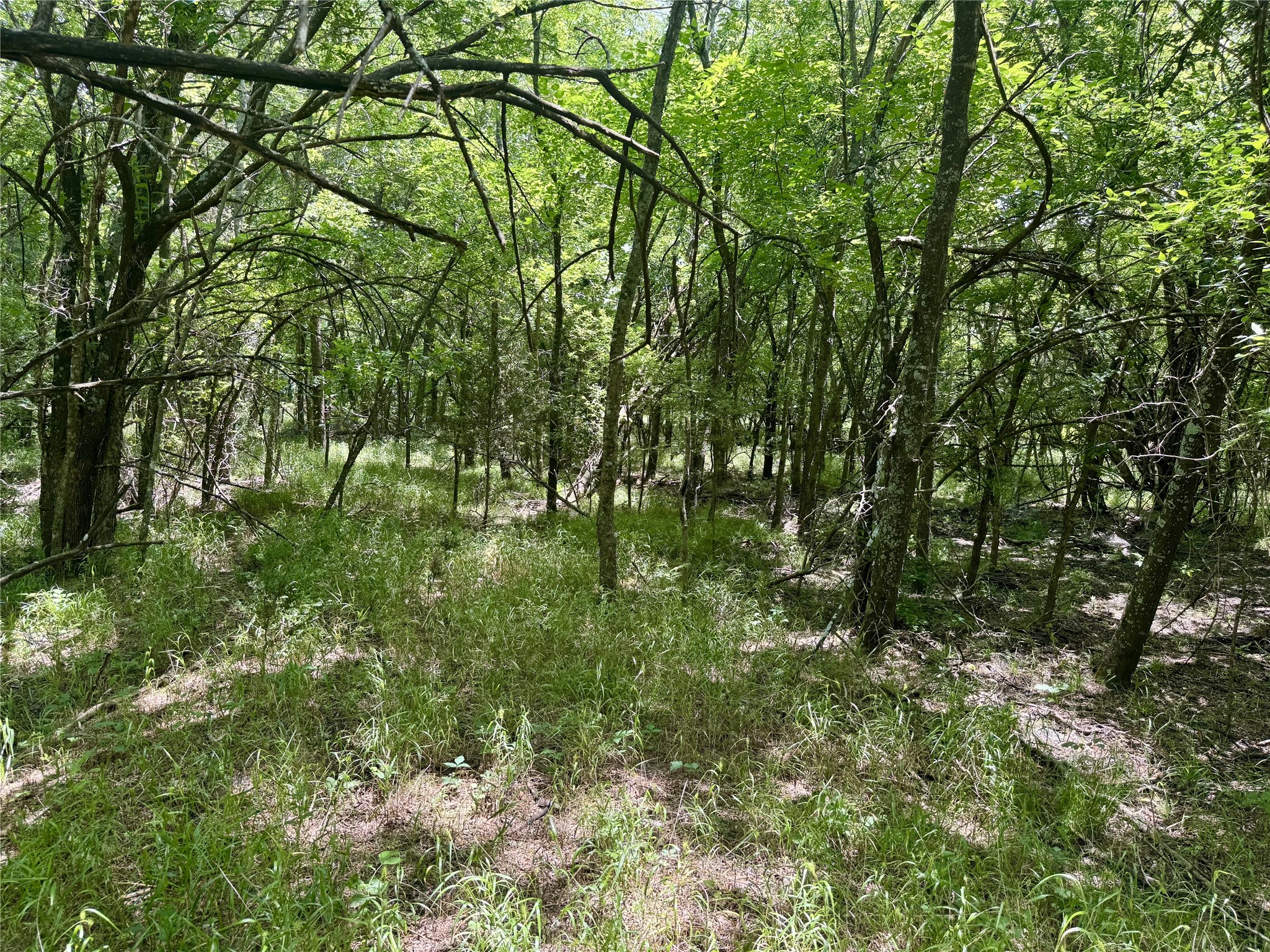 6540 County Road 4813 Commerce TX 75449