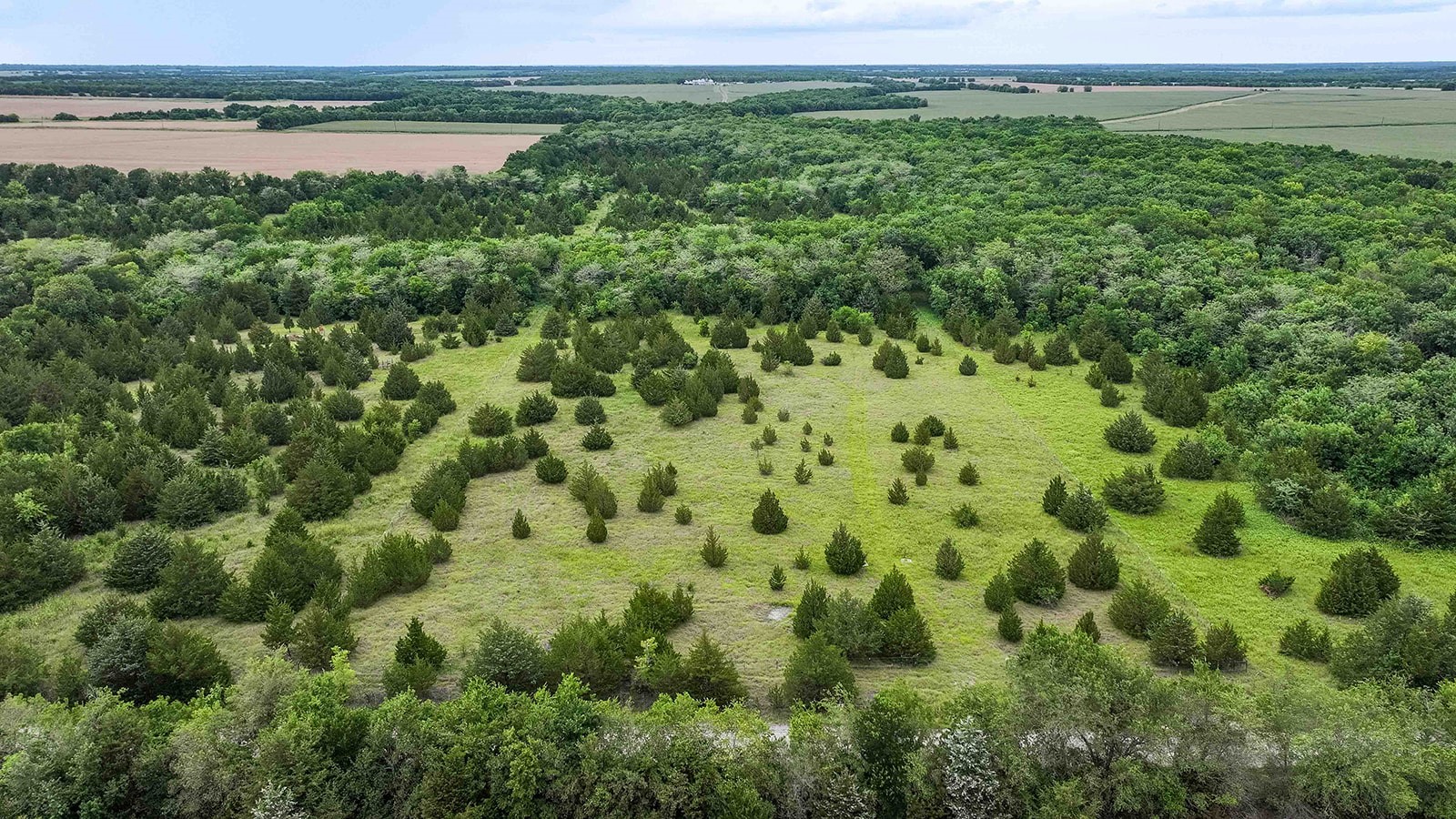 6540 County Road 4813 Commerce TX 75449