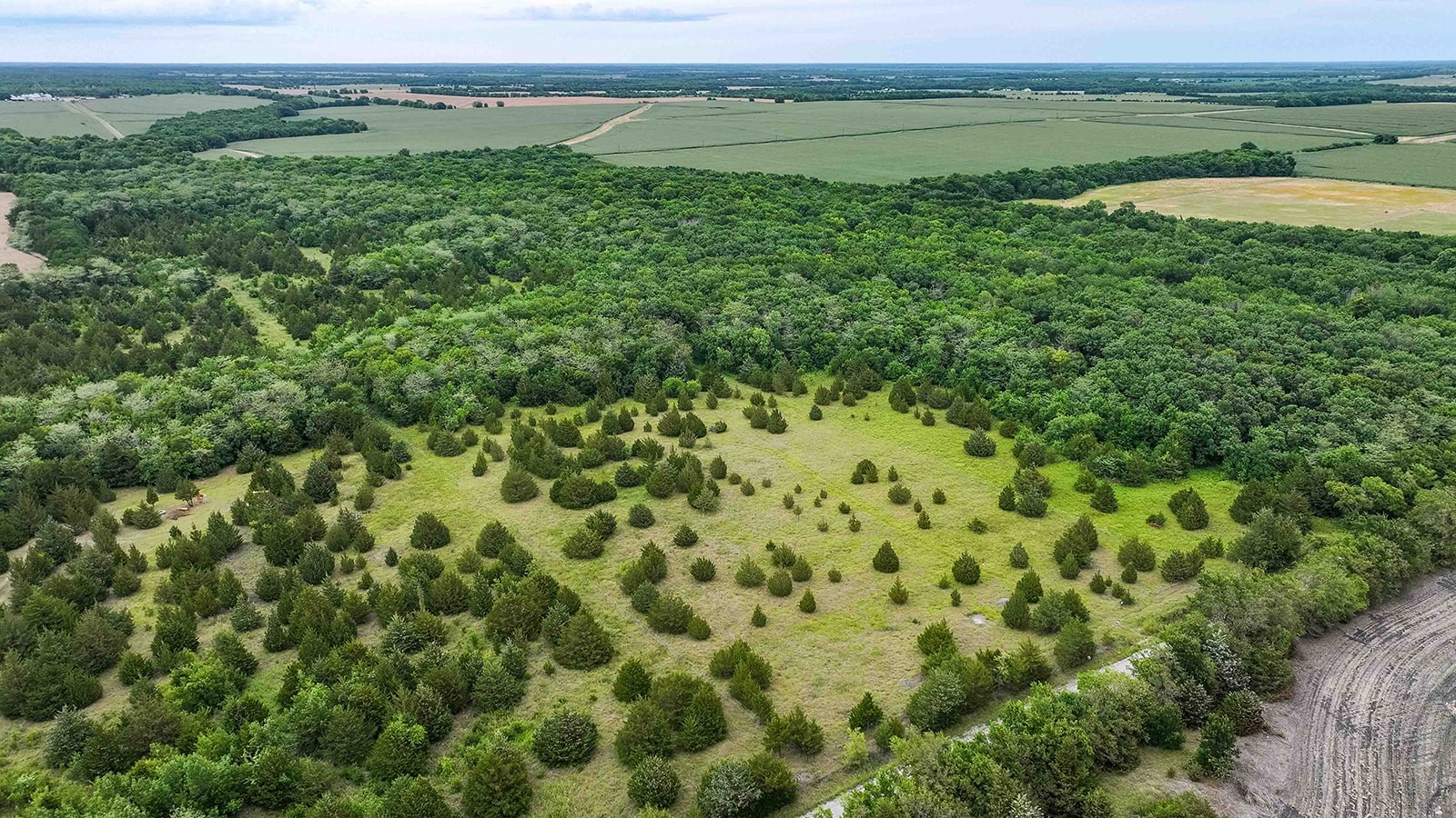 6540 County Road 4813 Commerce TX 75449