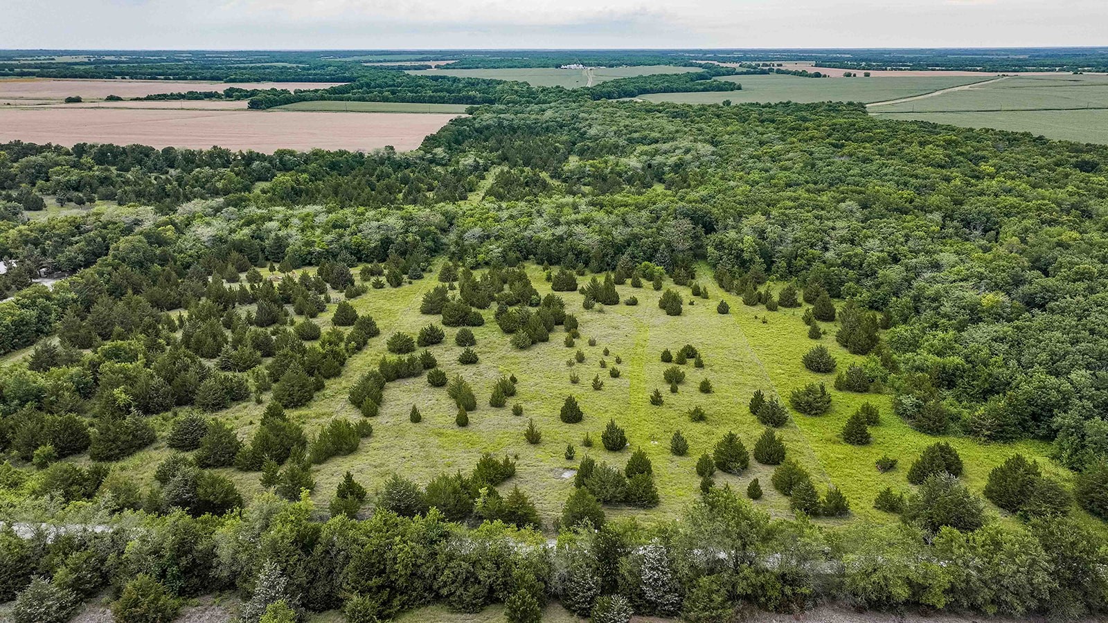 6540 County Road 4813 Commerce TX 75449