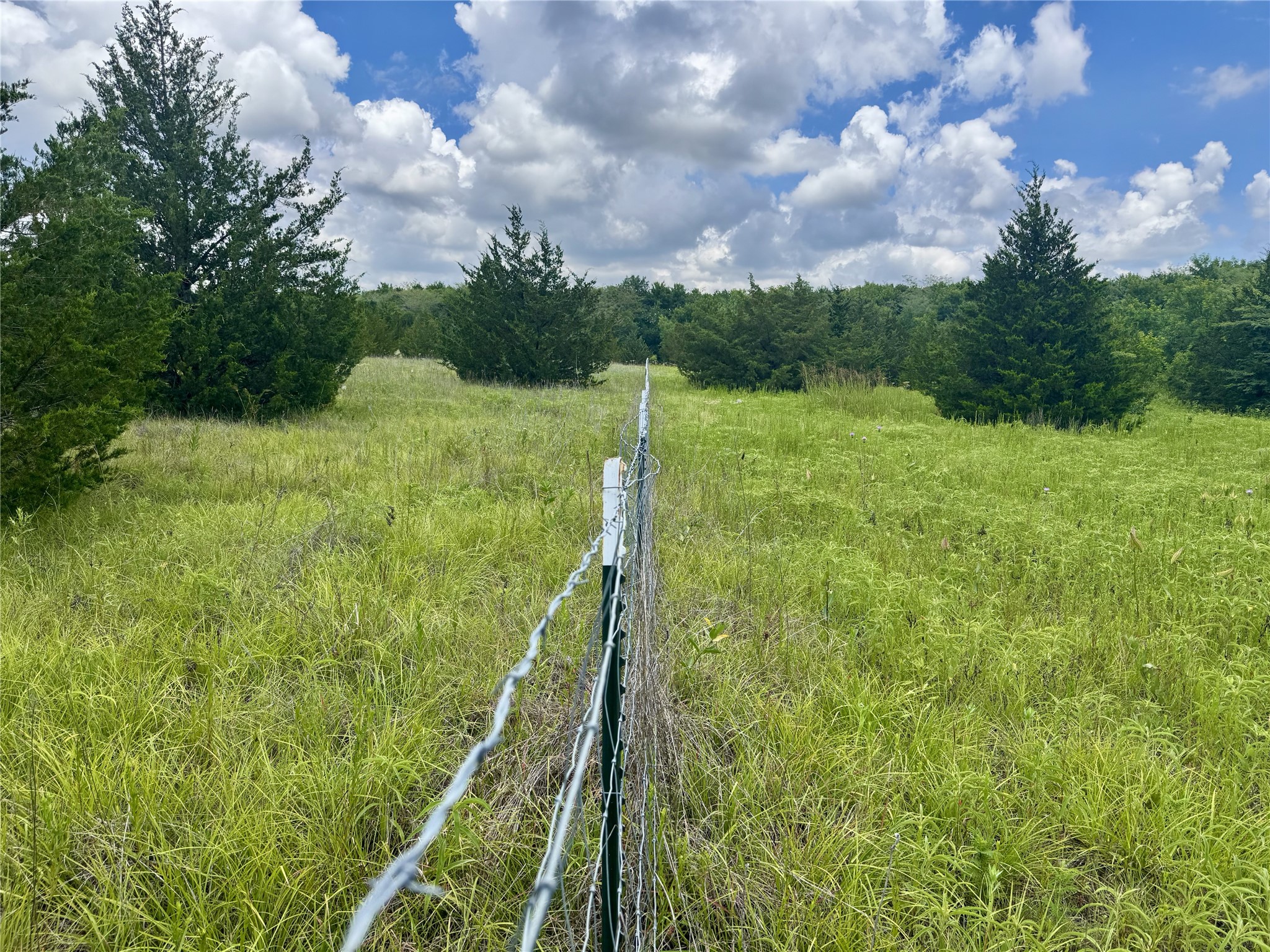 6540 County Road 4813 Commerce TX 75449
