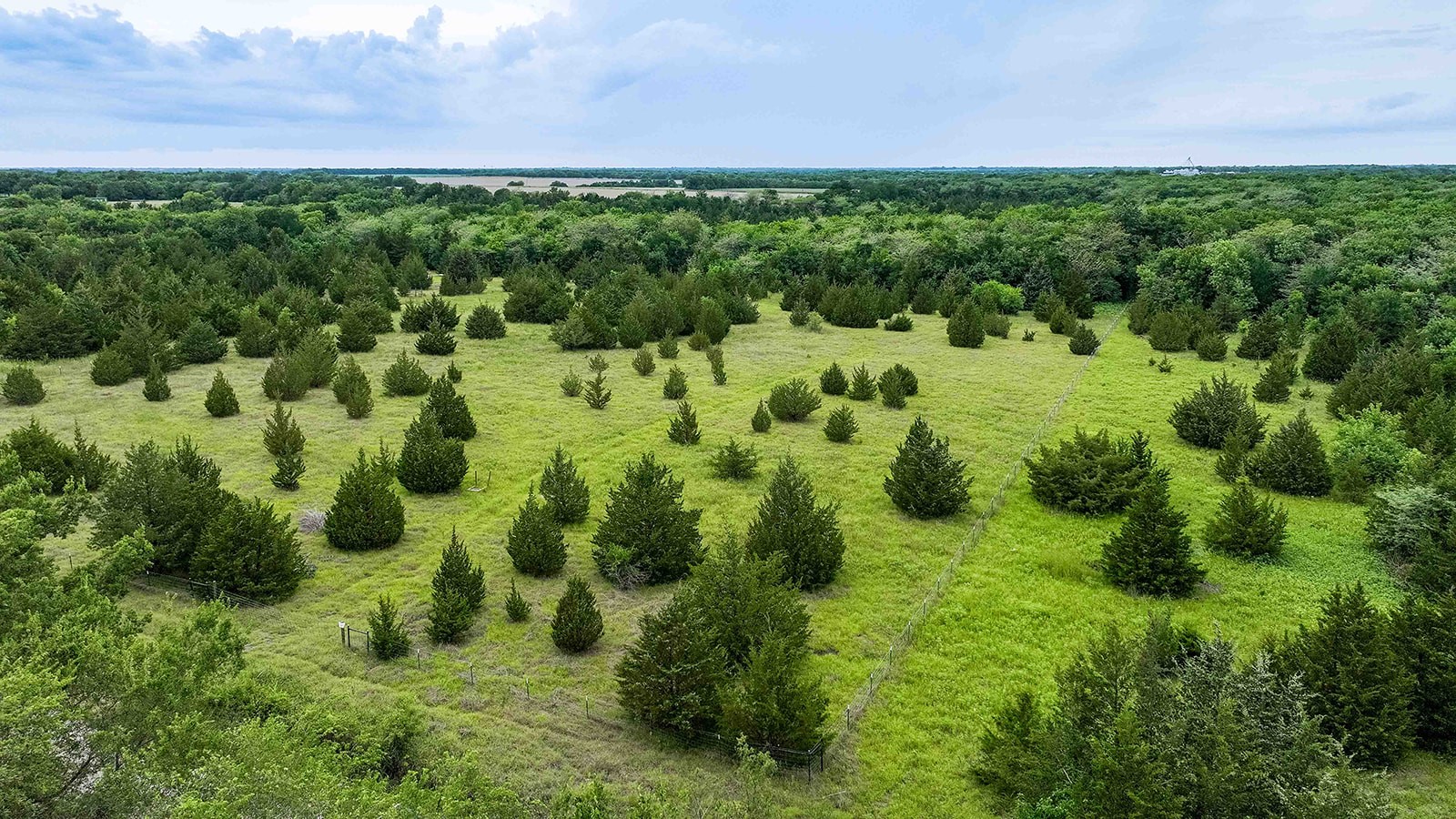 6540 County Road 4813 Commerce TX 75449
