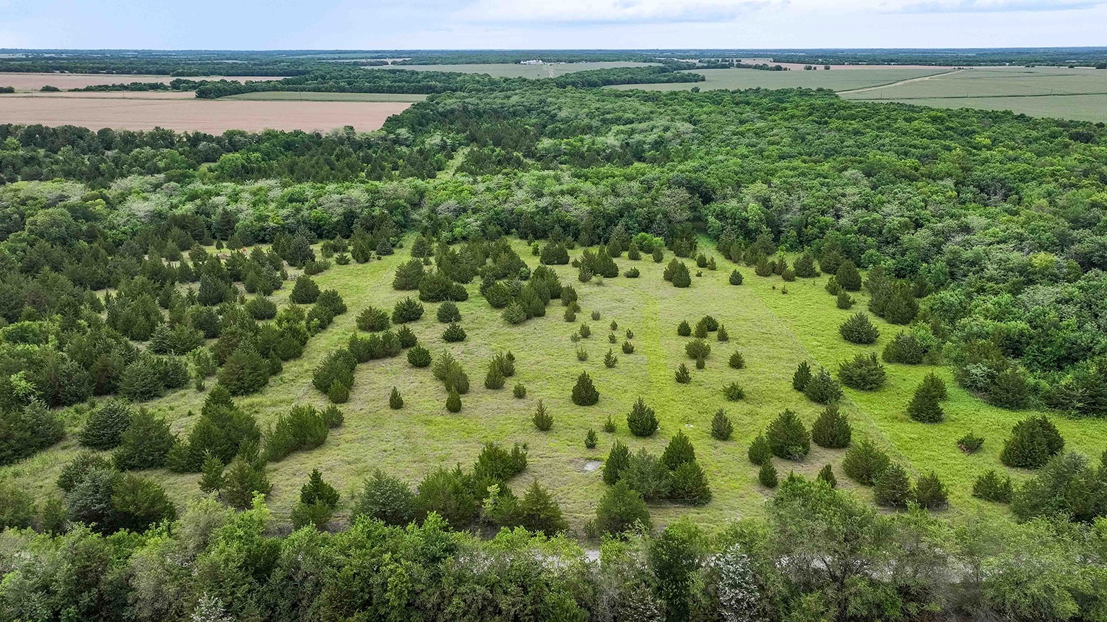 6540 County Road 4813 Commerce TX 75449