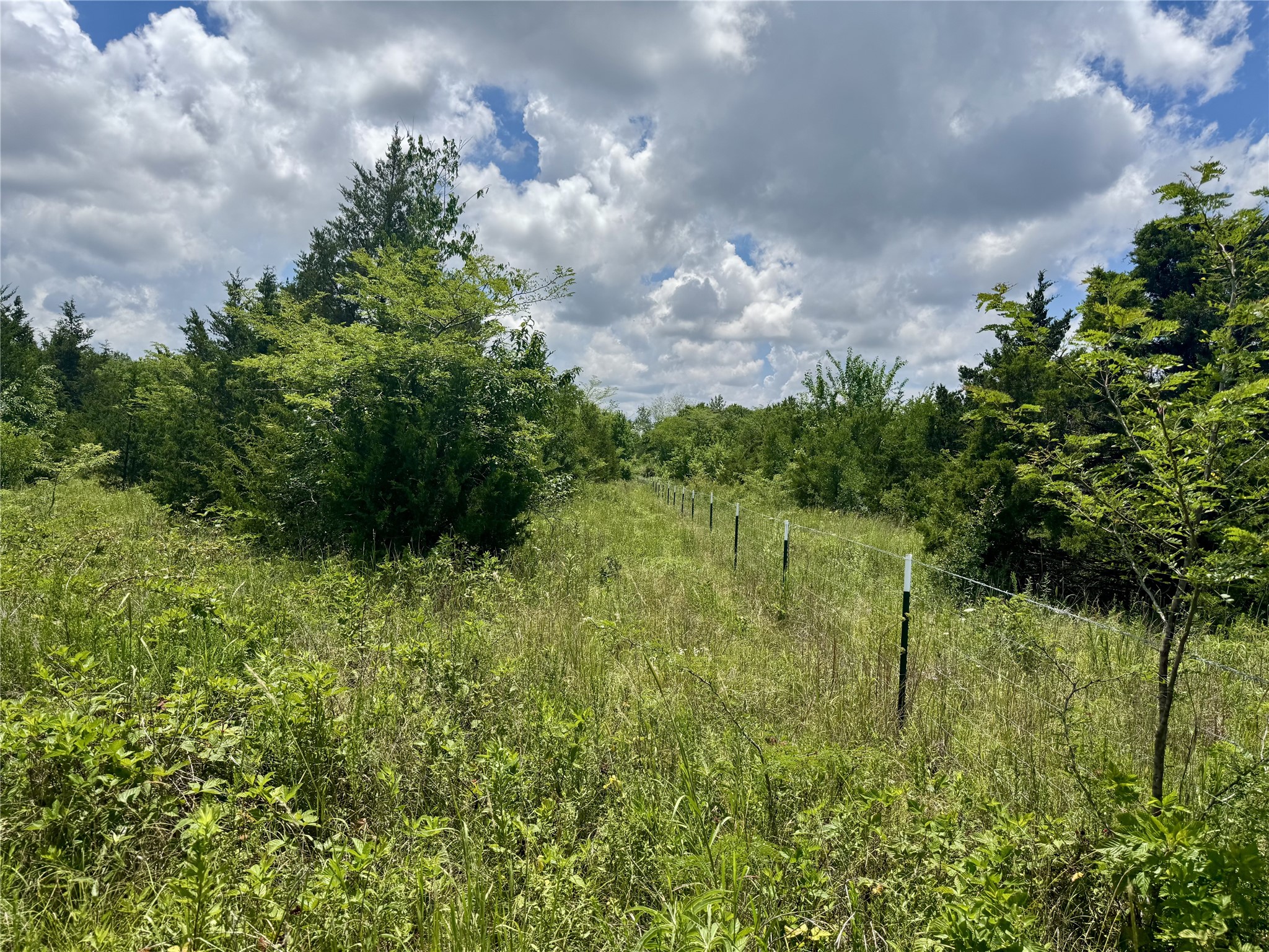 6540 County Road 4813 Commerce TX 75449