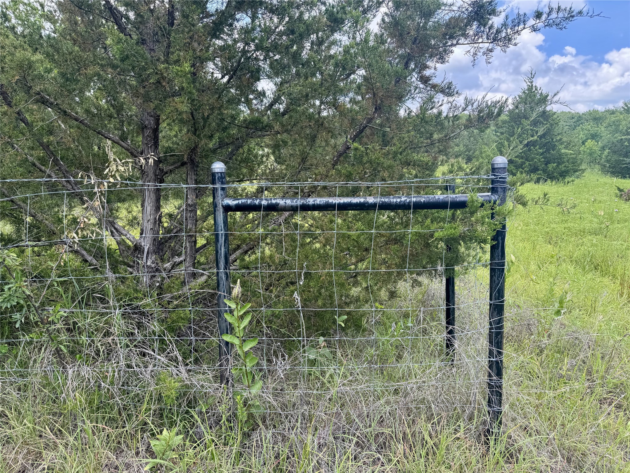 6540 County Road 4813 Commerce TX 75449