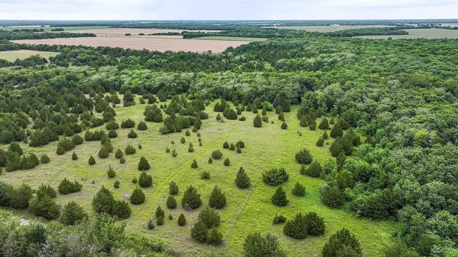 6540 County Road 4813 Commerce TX 75449
