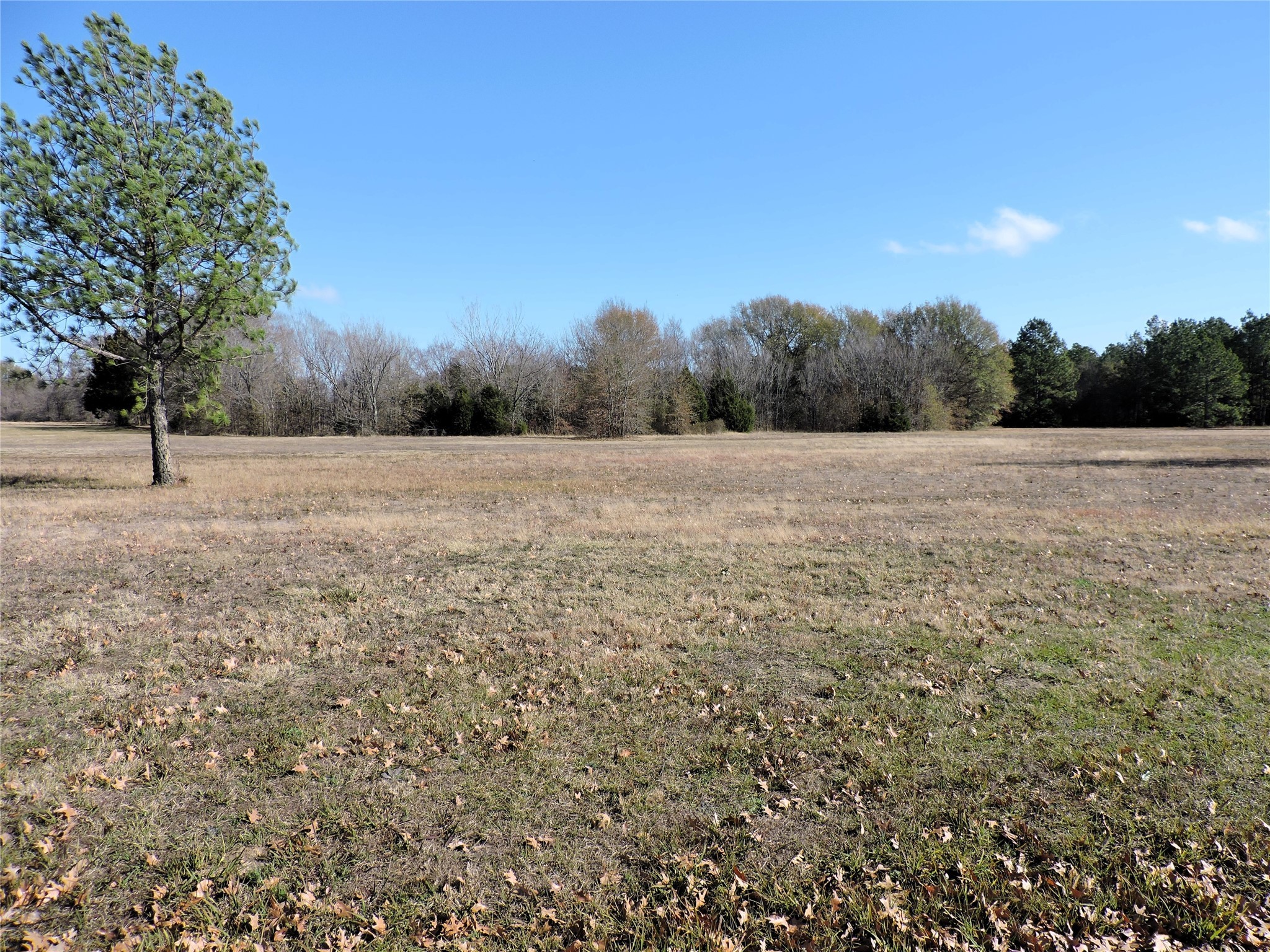 0 Old Highway 85 Gun Barrel City TX 75156