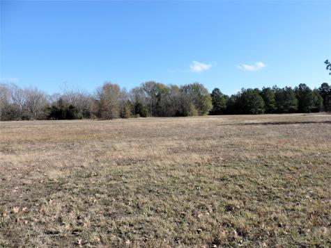 0 Old Highway 85 Gun Barrel City TX 75156