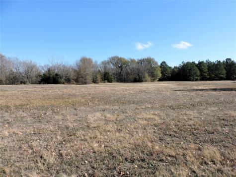 0 Old Highway 85 Gun Barrel City TX 75156
