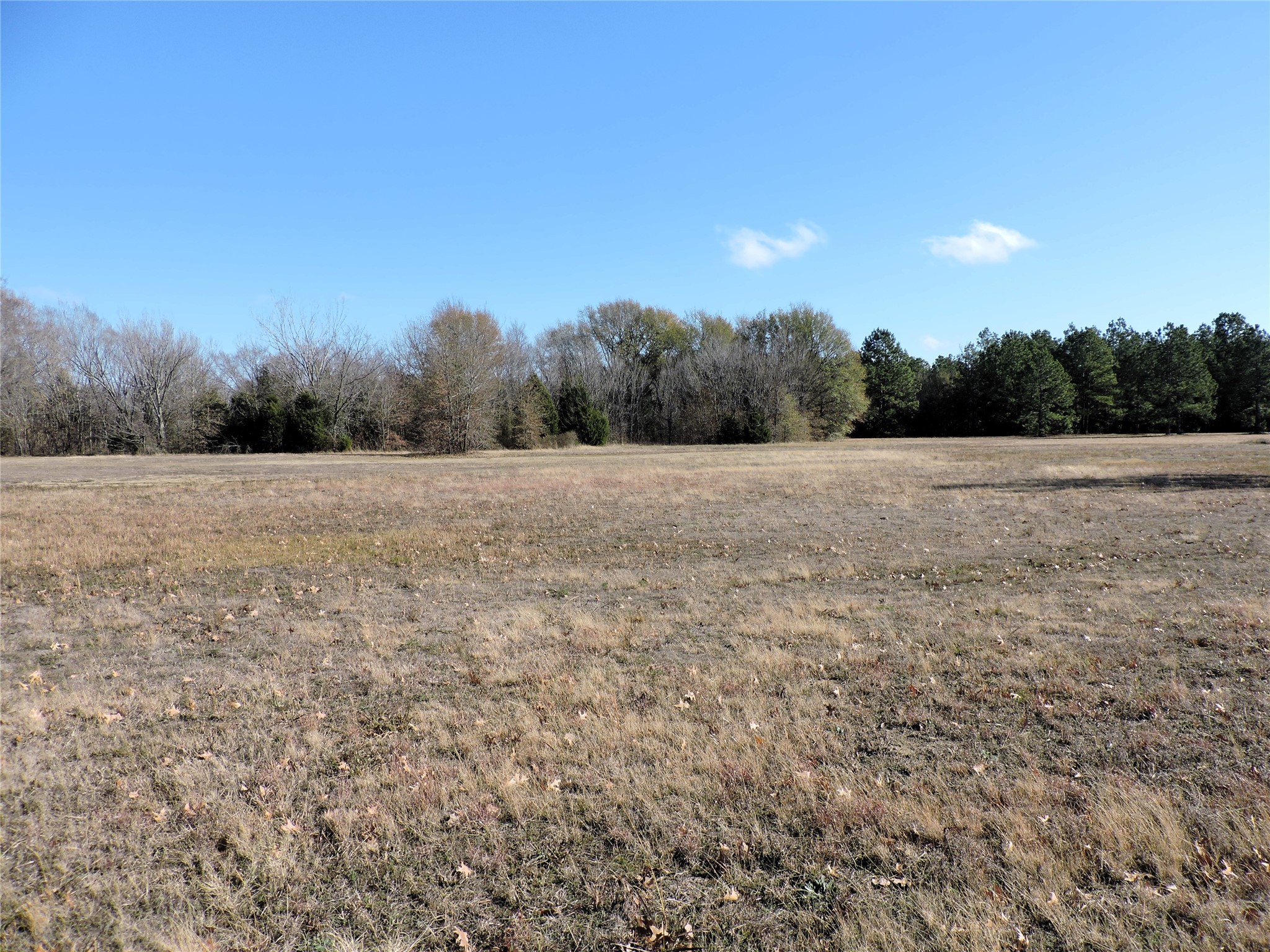 0 Old Highway 85 Gun Barrel City TX 75156