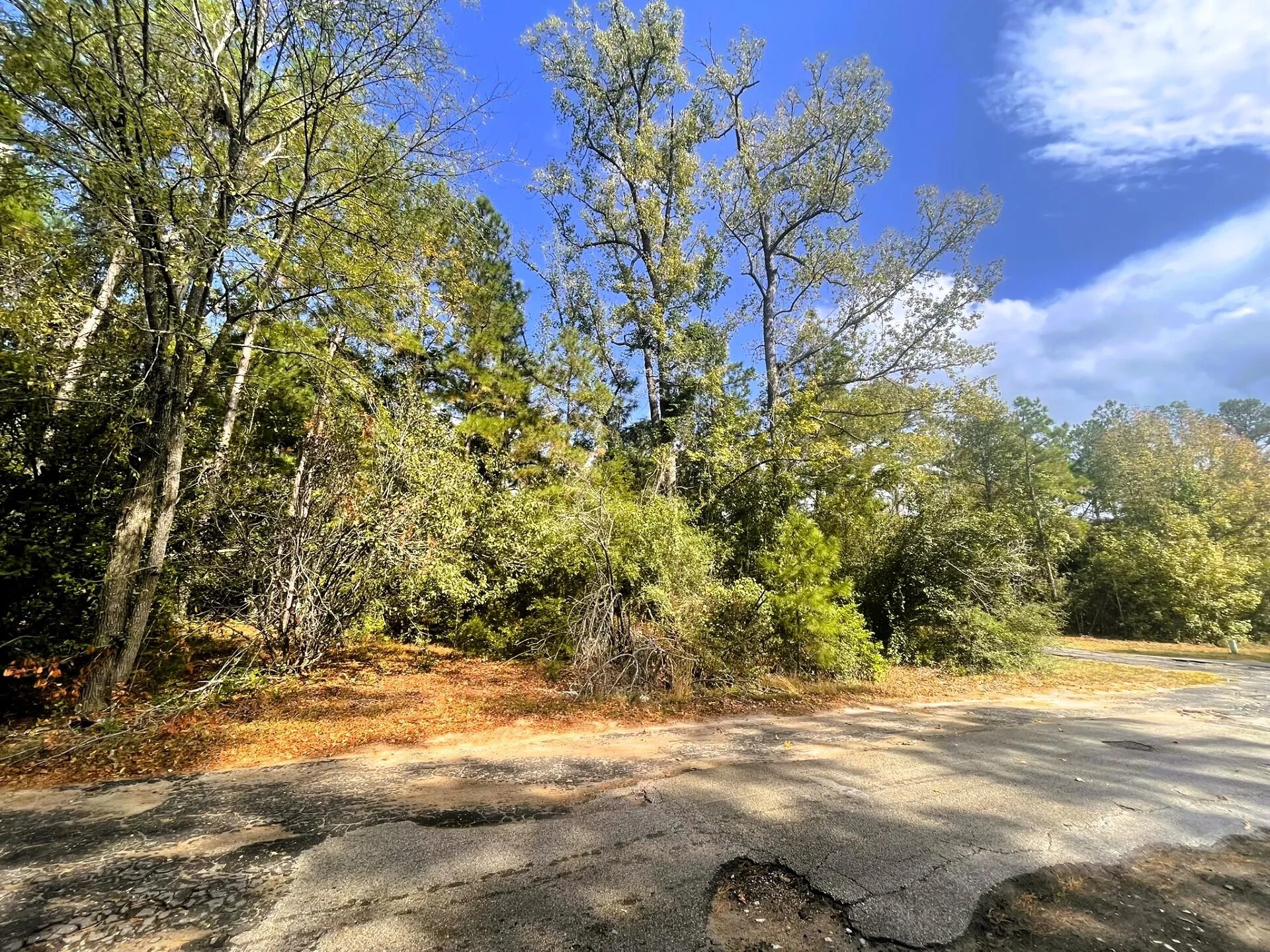 307 Cherokee Drive Trinity TX 75862
