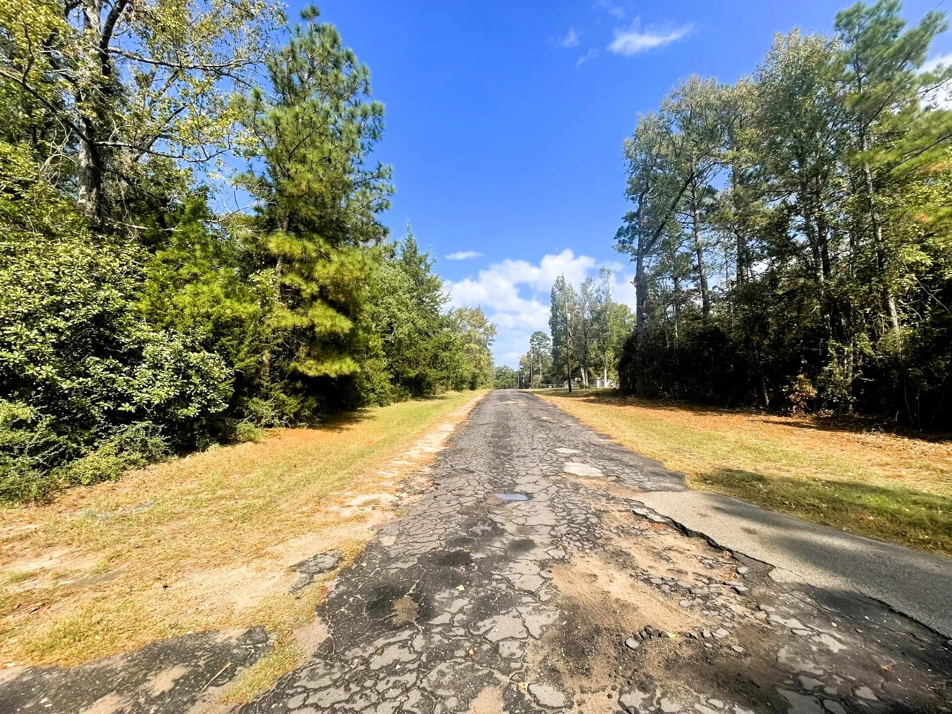 307 Cherokee Drive Trinity TX 75862