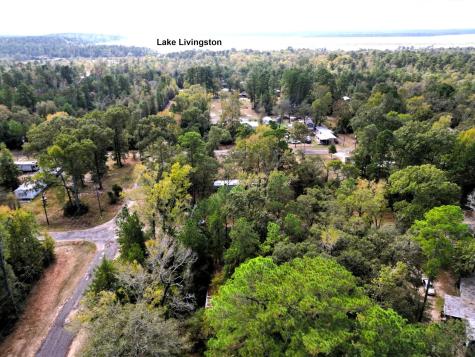 307 Cherokee Drive Trinity TX 75862
