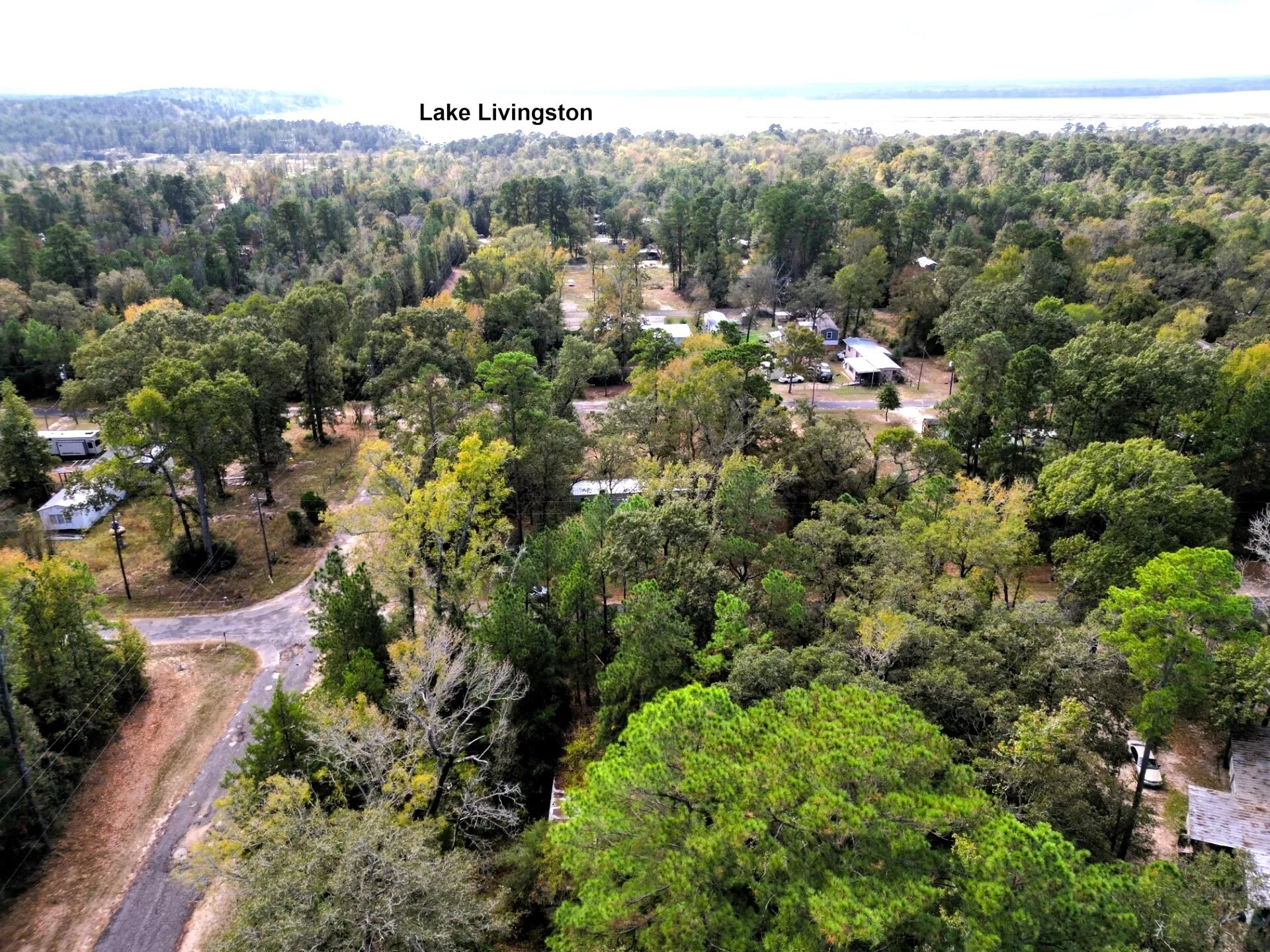 307 Cherokee Drive Trinity TX 75862