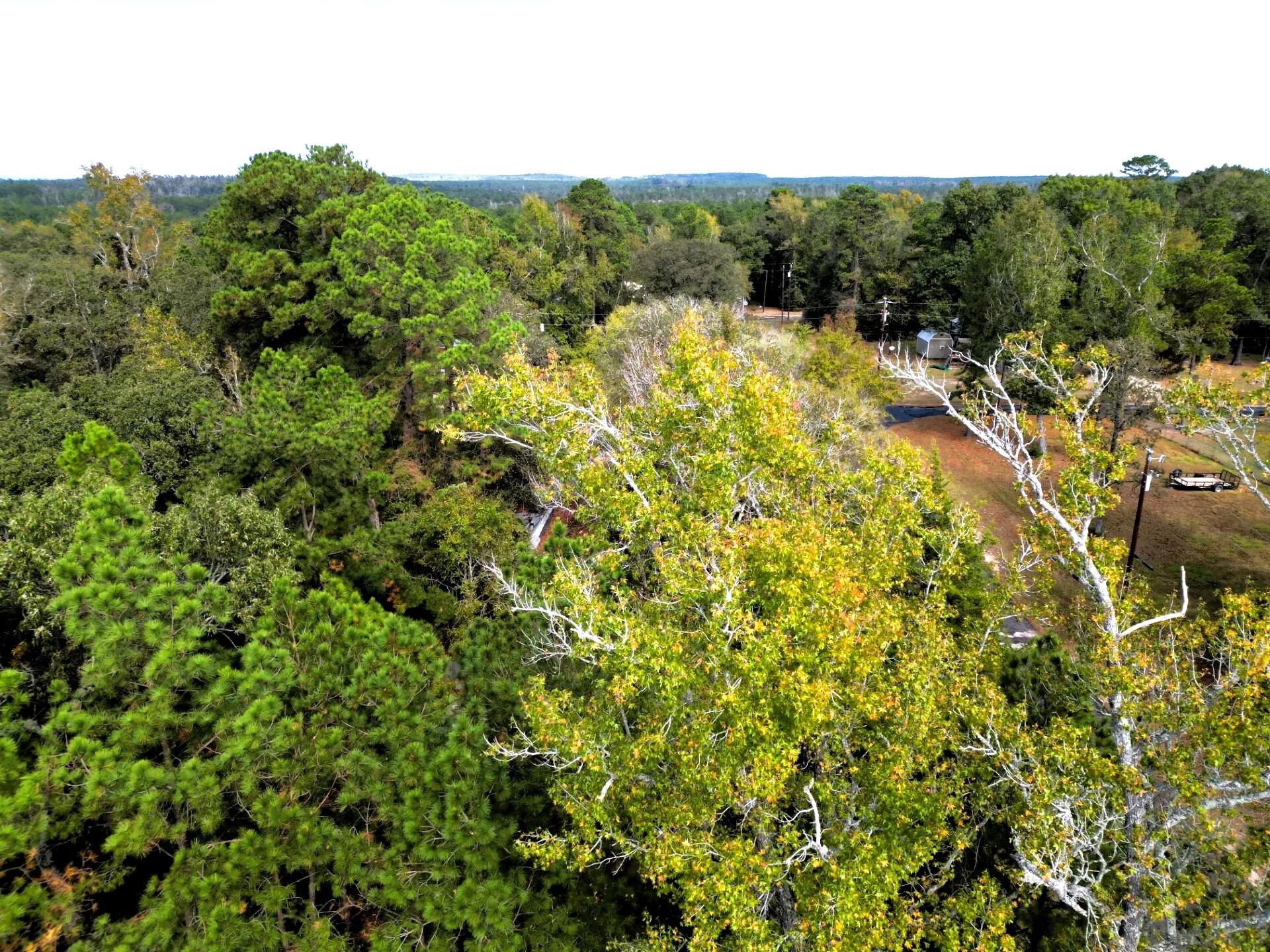 307 Cherokee Drive Trinity TX 75862