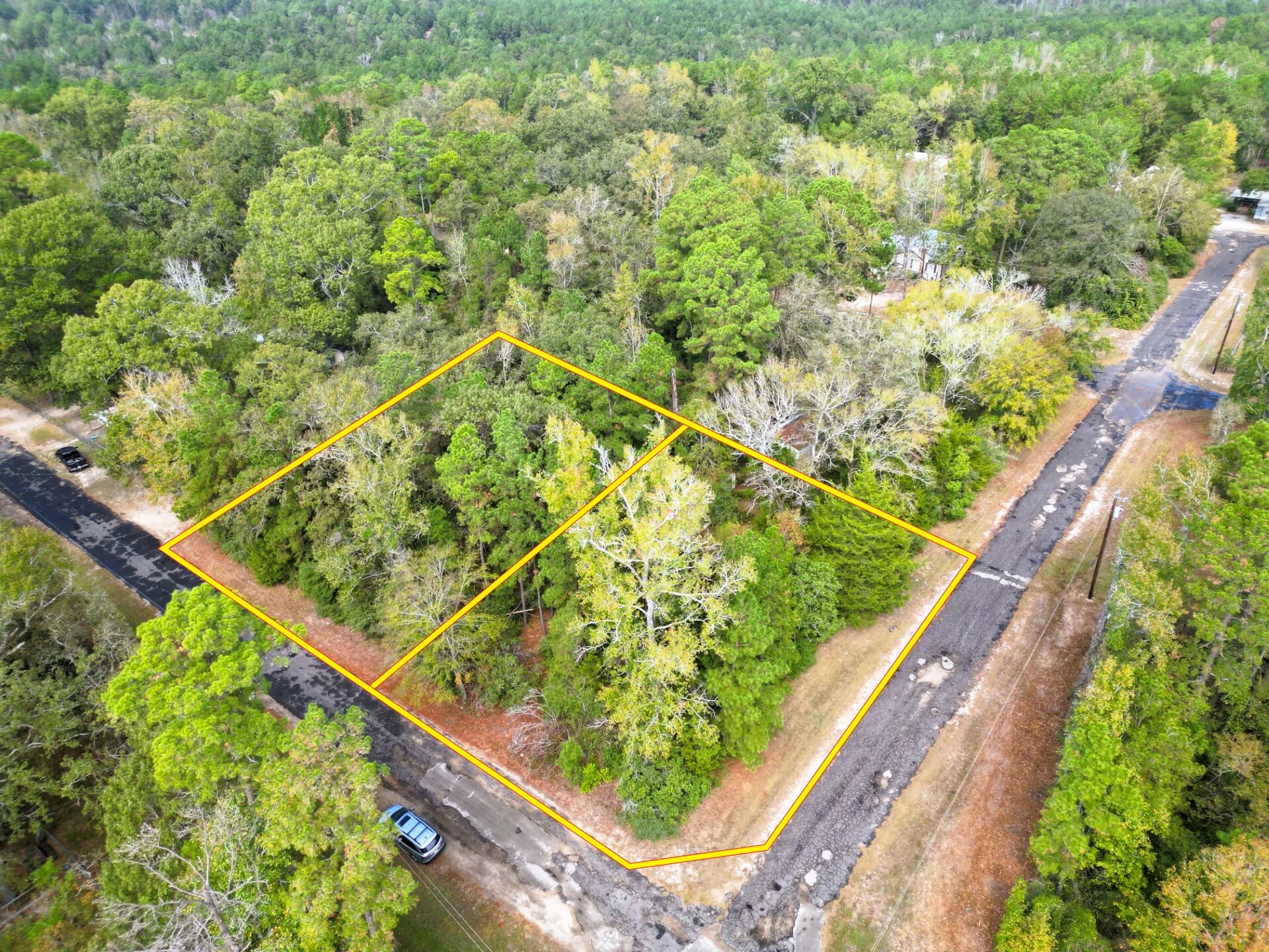 307 Cherokee Drive Trinity TX 75862