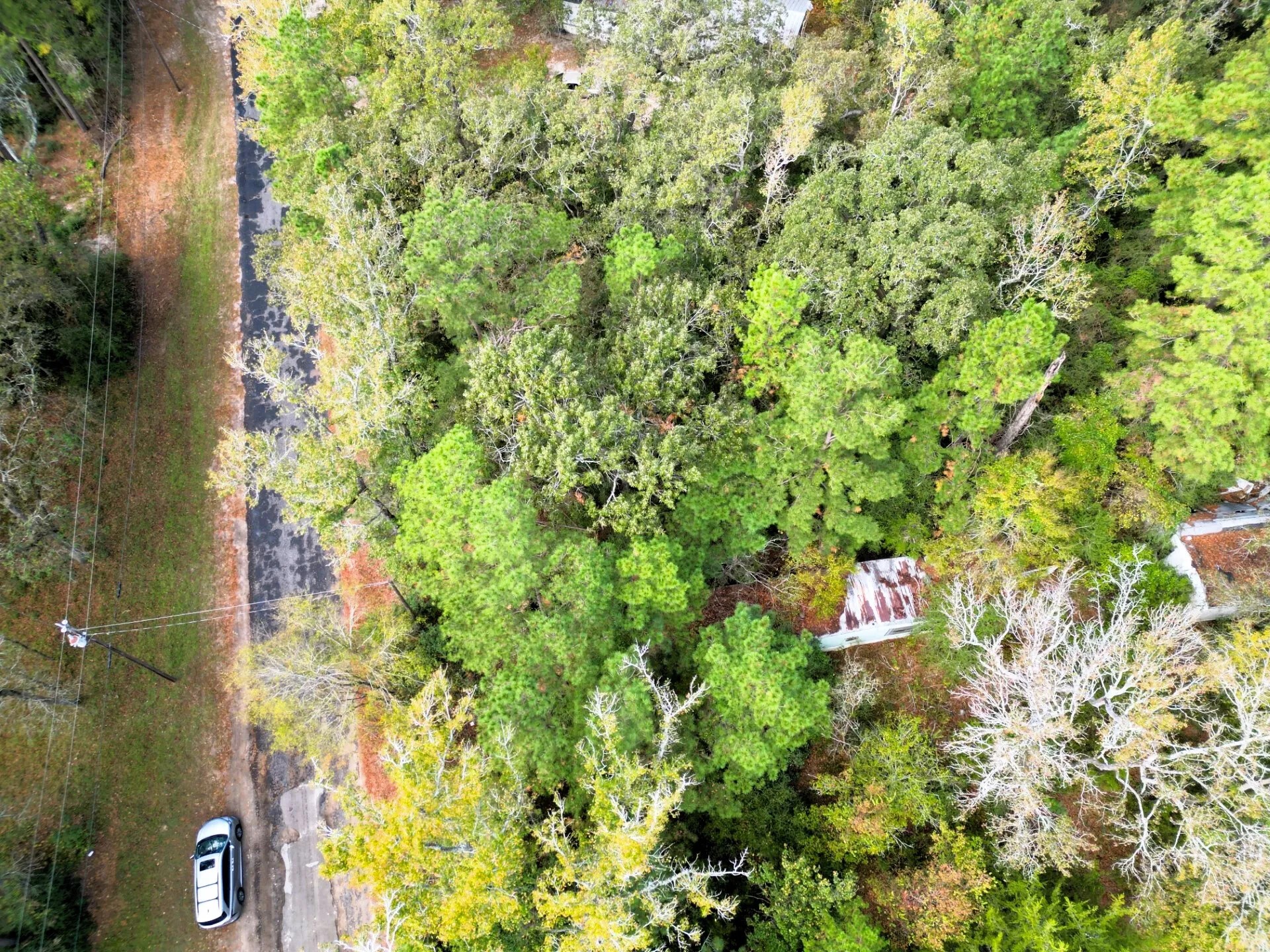 307 Cherokee Drive Trinity TX 75862