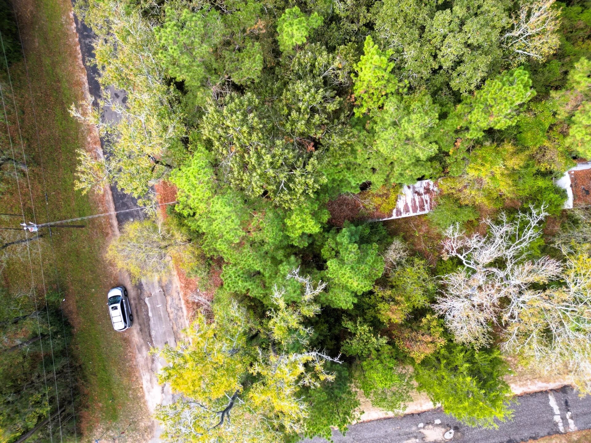 307 Cherokee Drive Trinity TX 75862