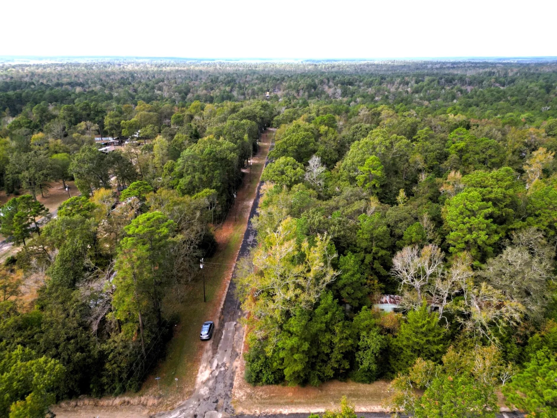 307 Cherokee Drive Trinity TX 75862