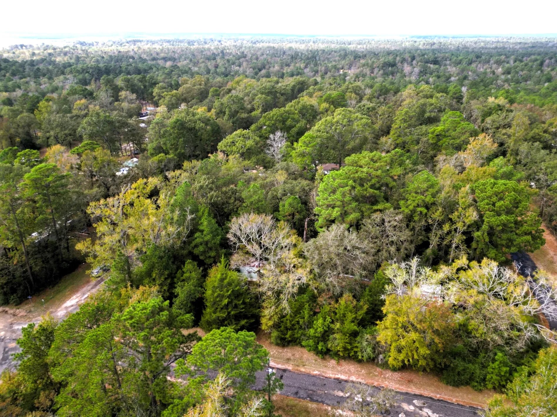 307 Cherokee Drive Trinity TX 75862
