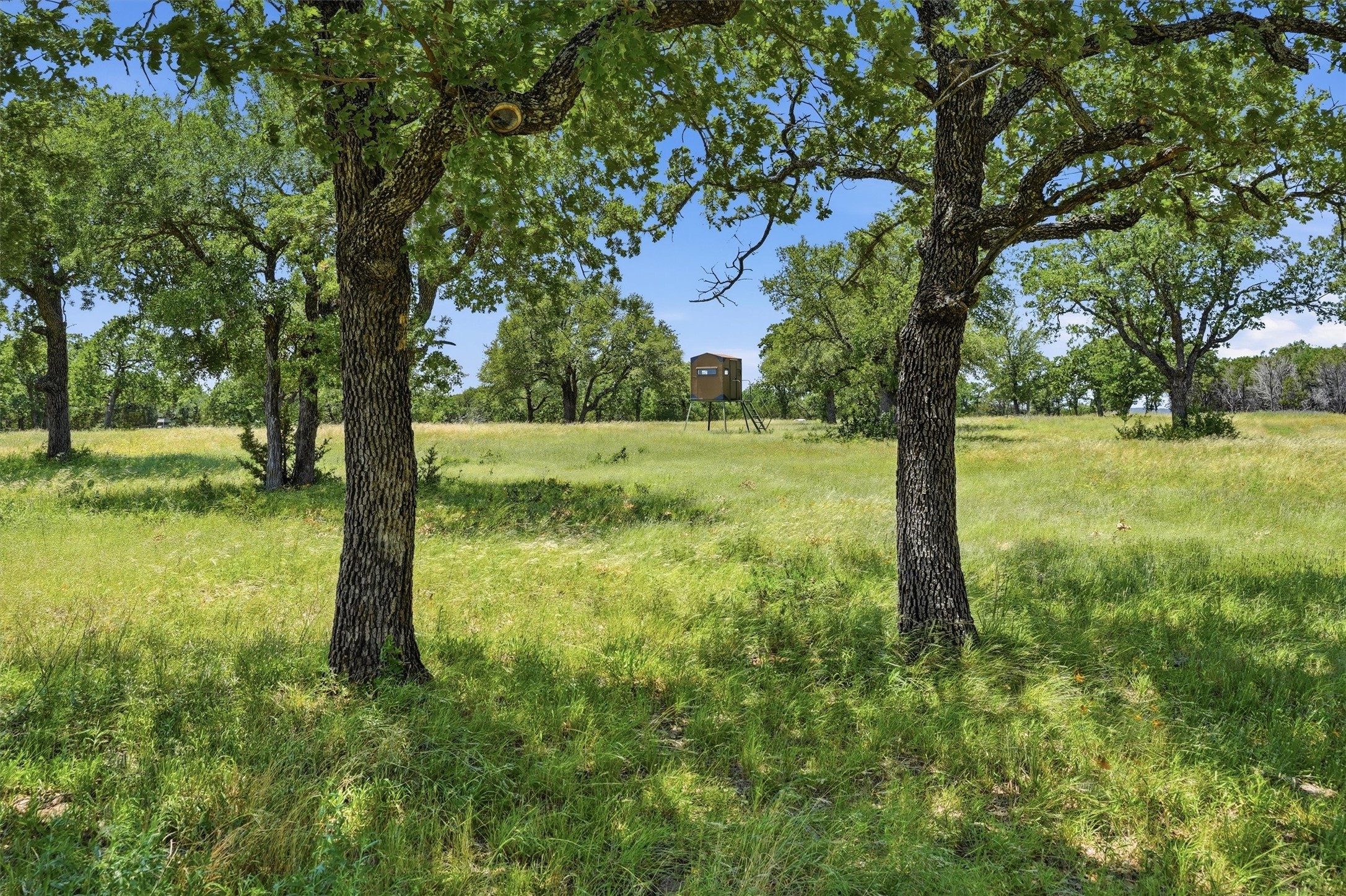 1875 Co 494 Strawn TX 76475