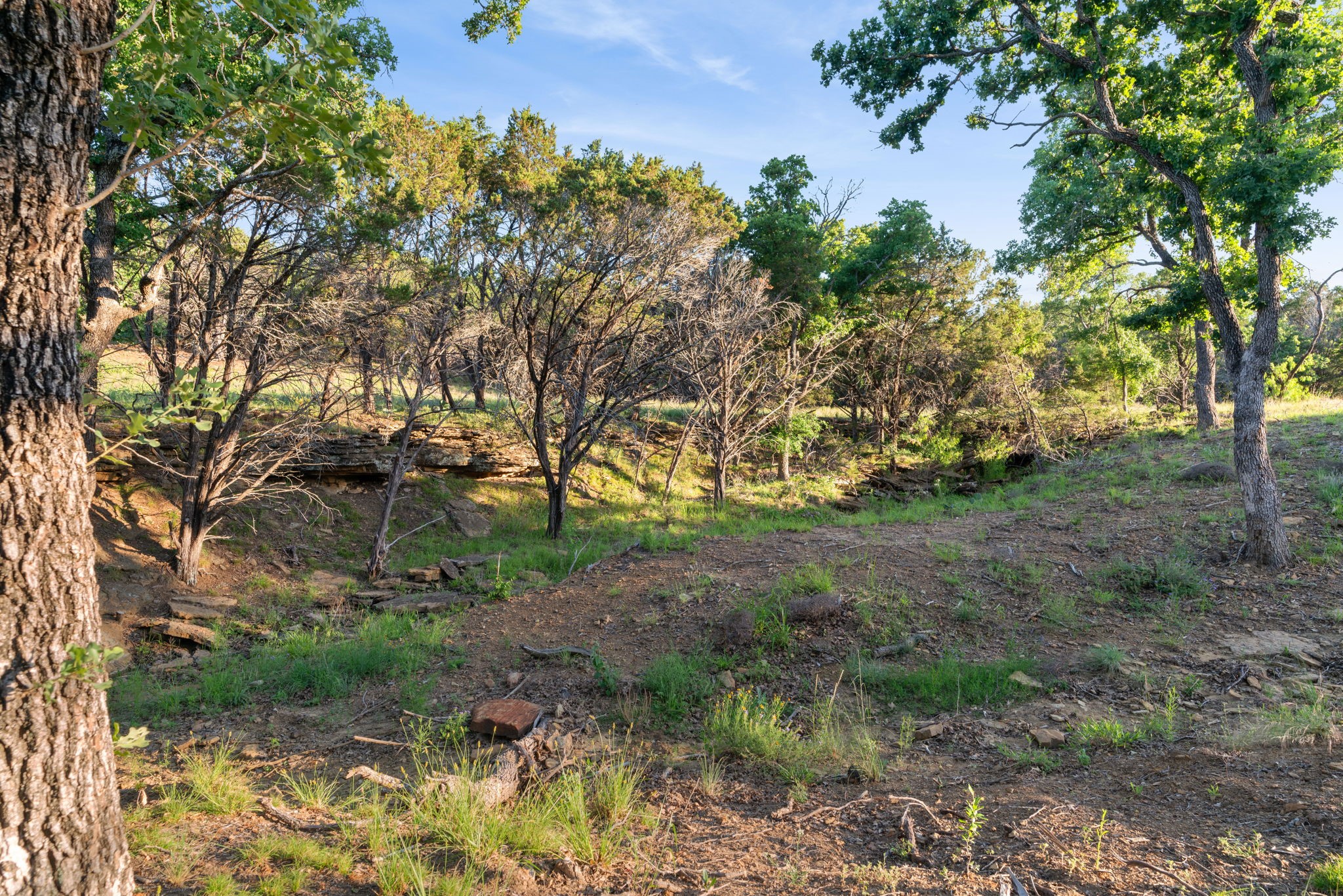 1875 Co 494 Strawn TX 76475