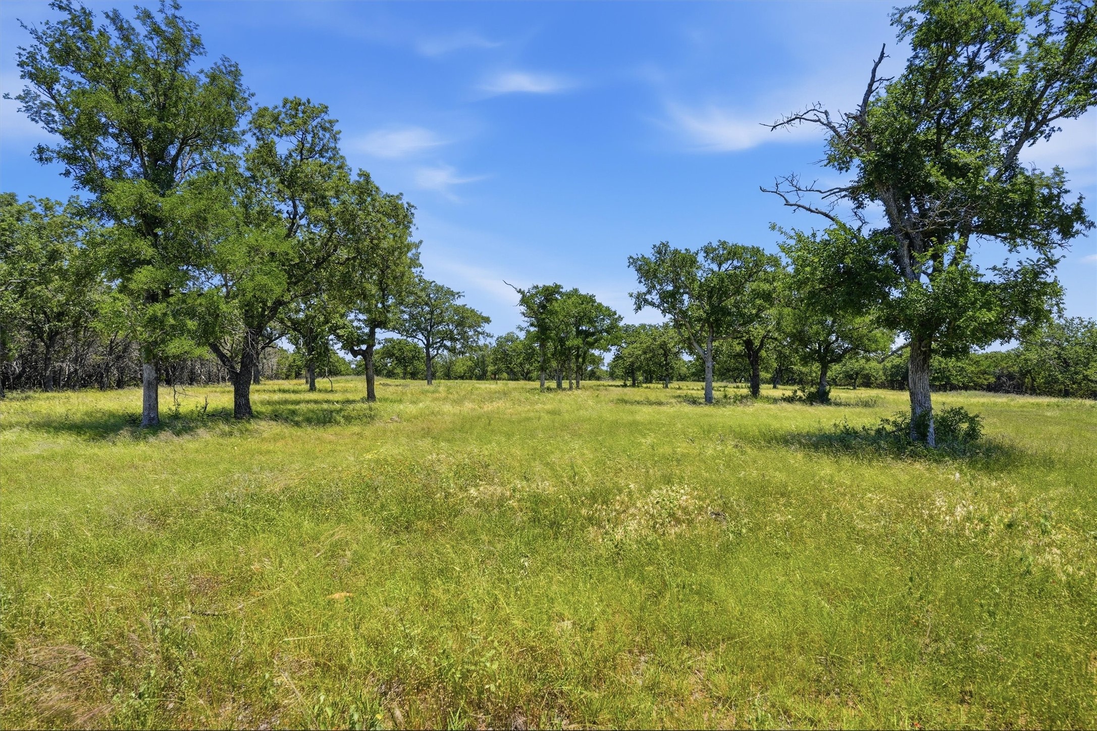 1875 Co 494 Strawn TX 76475
