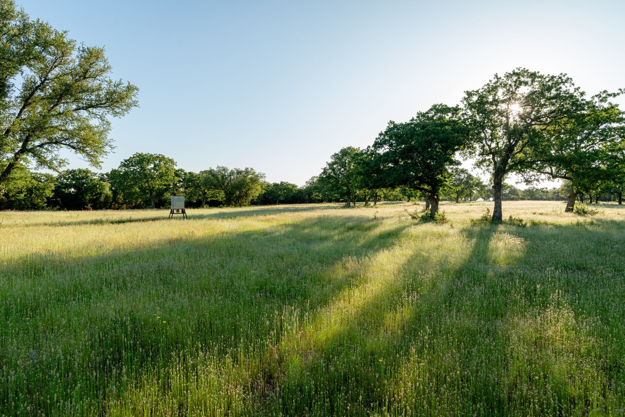 1875 Co 494 Strawn TX 76475