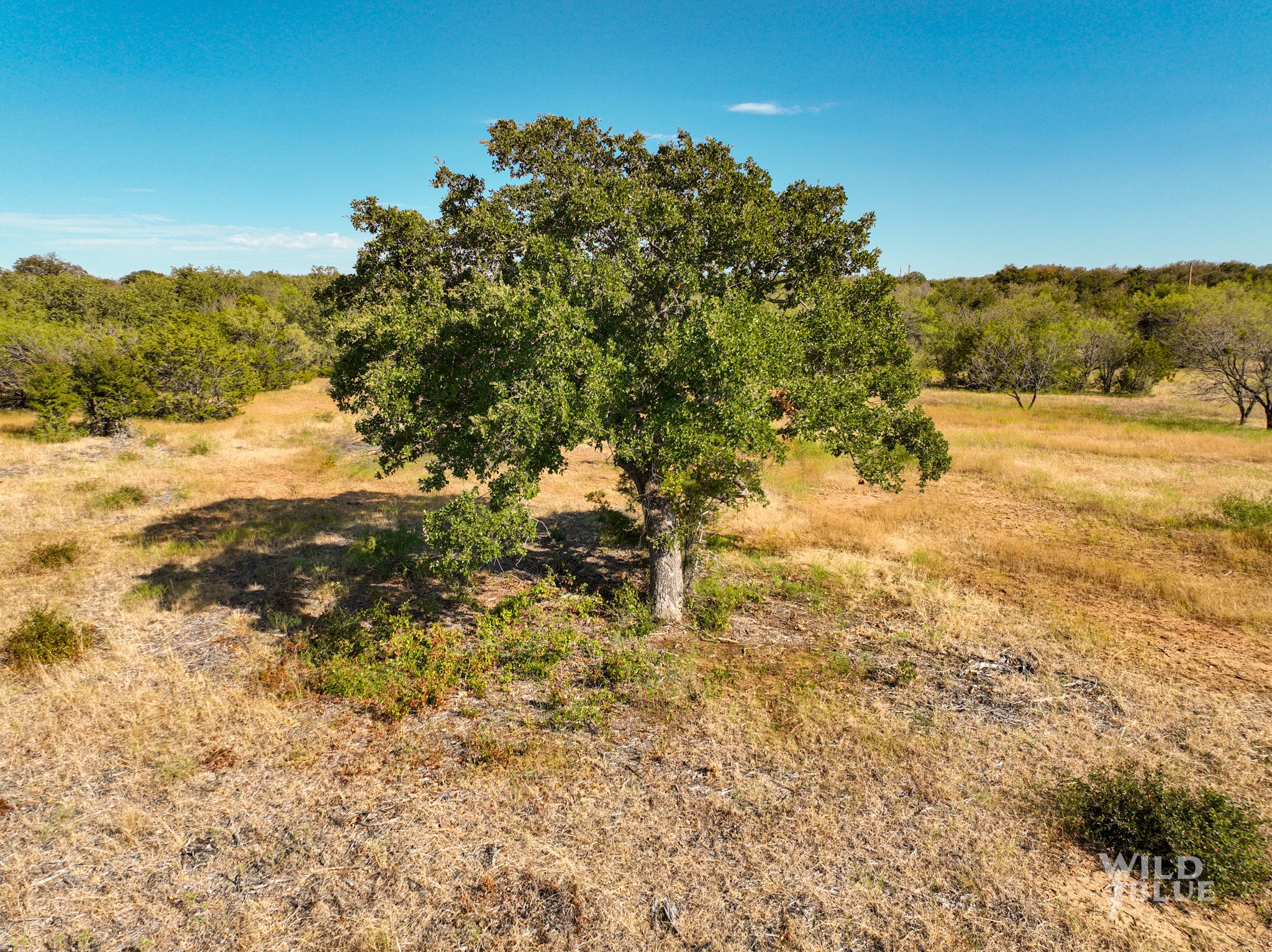 Tbd Lot 25 New Hope Road Santo TX 76484