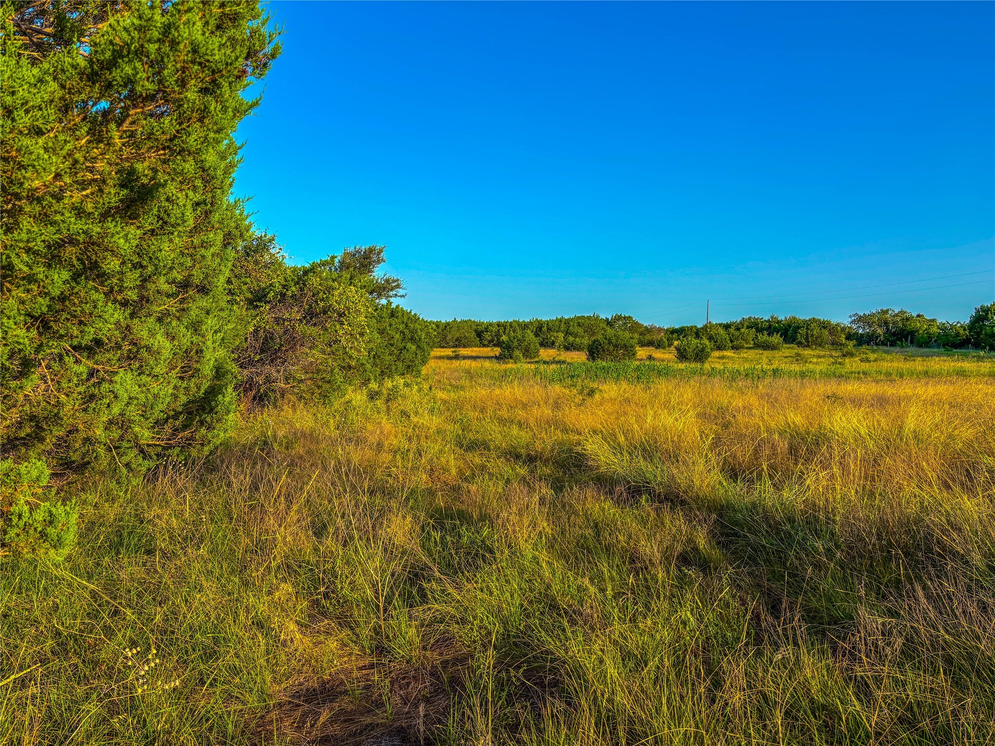 101 Crumley Lane Gatesville TX 76528