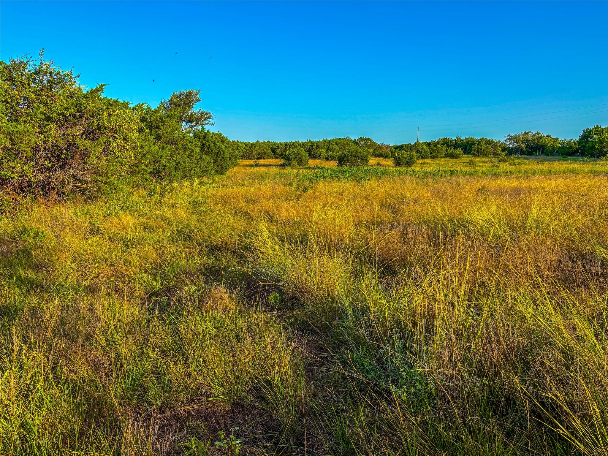 101 Crumley Lane Gatesville TX 76528