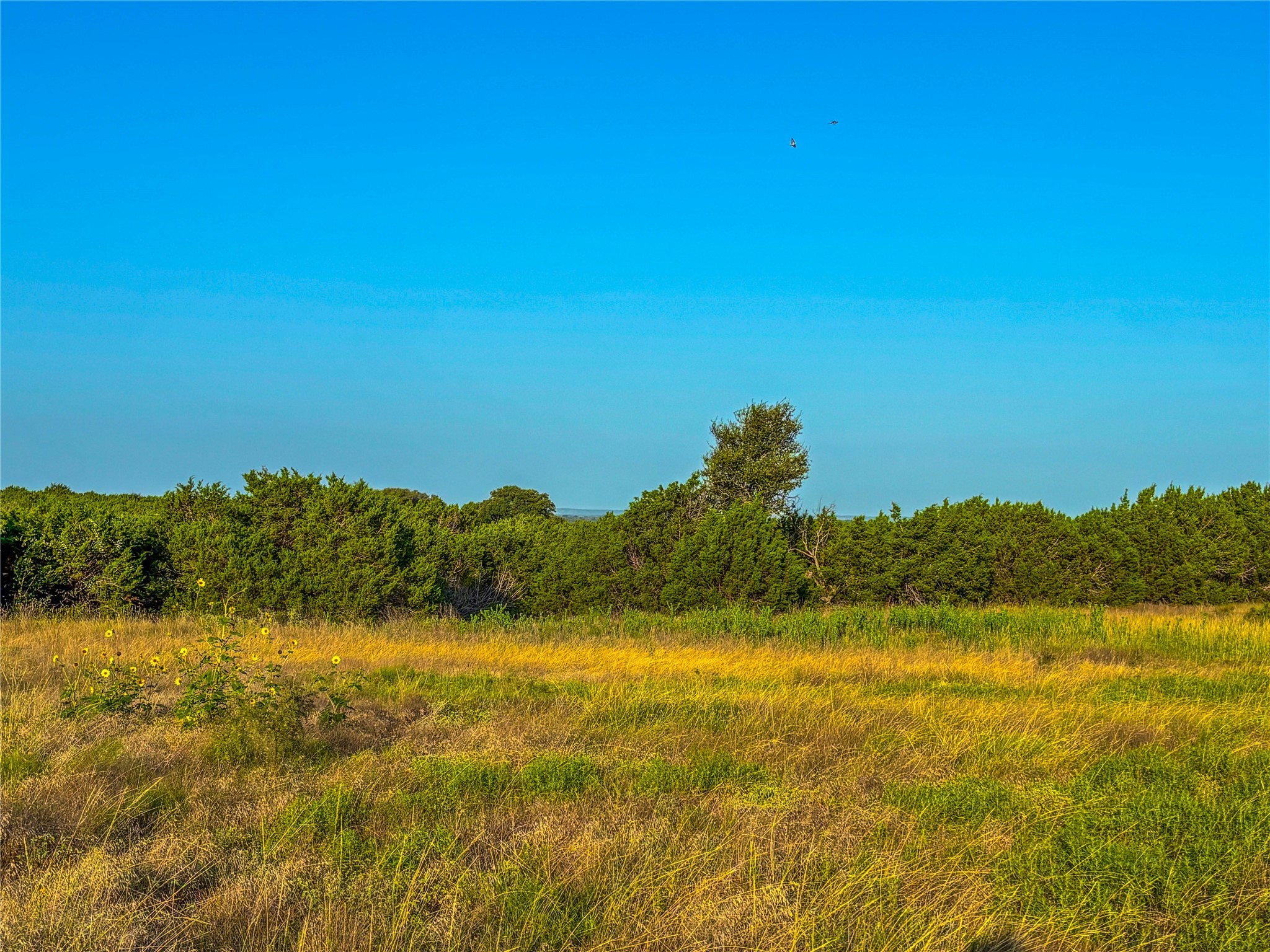 101 Crumley Lane Gatesville TX 76528