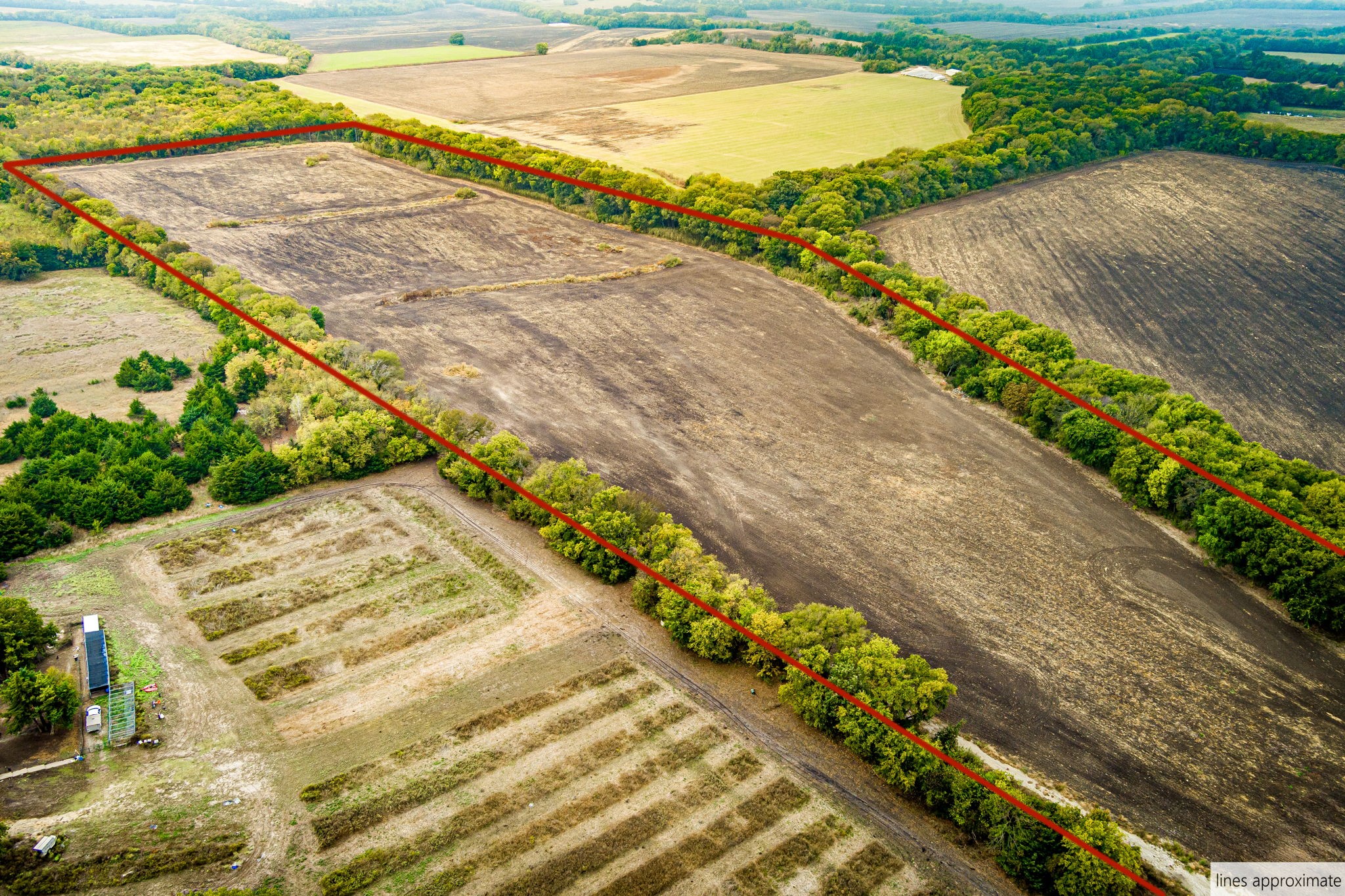 Tbd 54.757 Ac County Road 4642 Trenton TX 75490