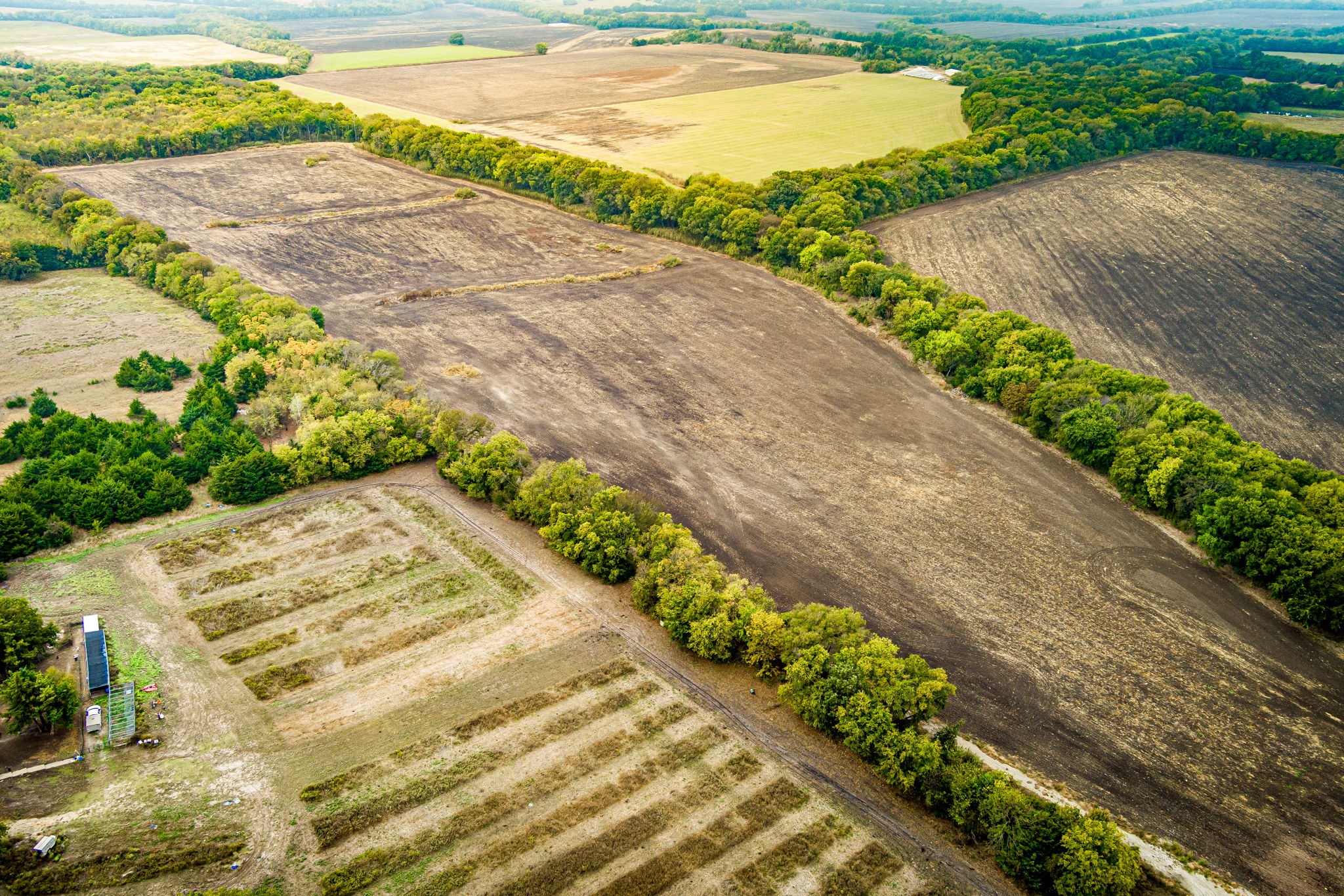 Tbd 54.757 Ac County Road 4642 Trenton TX 75490