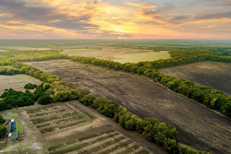 Tbd 54.757 Ac County Road 4642 Trenton TX 75490