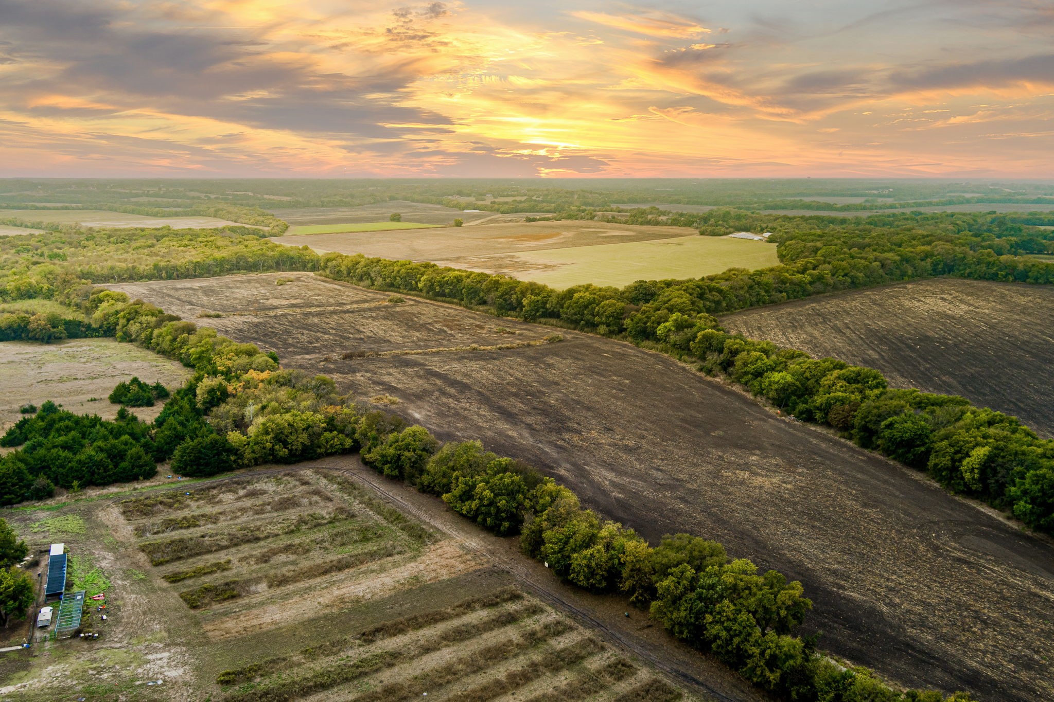 Tbd 54.757 Ac County Road 4642 Trenton TX 75490