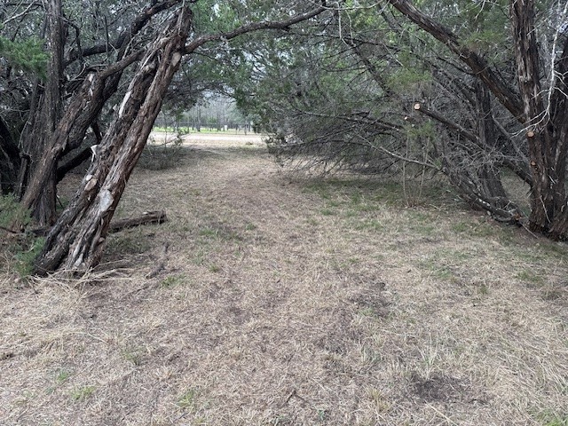 1377 Spring Valley Trail Whitney TX 76692