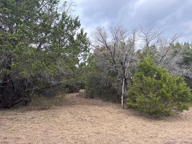 1377 Spring Valley Trail Whitney TX 76692