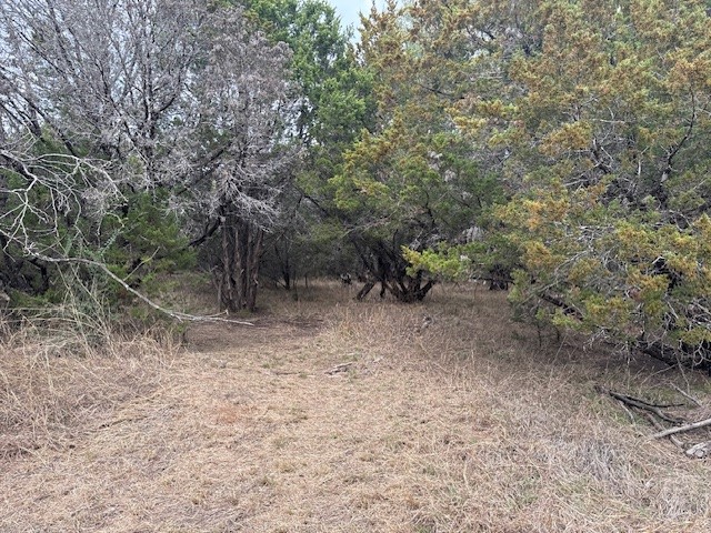 1377 Spring Valley Trail Whitney TX 76692
