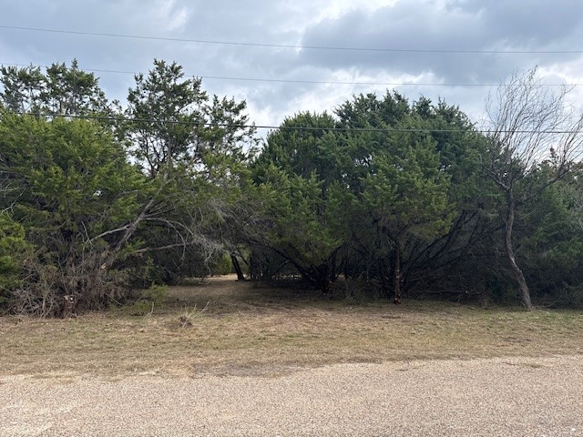 1377 Spring Valley Trail Whitney TX 76692