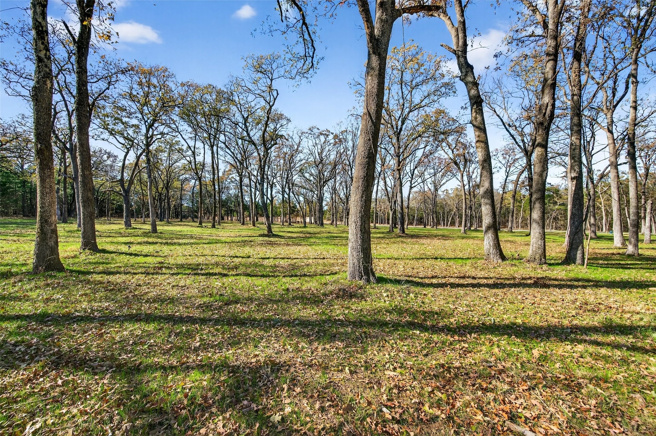 Lot 76 Buck Trail Way Pottsboro TX 75076