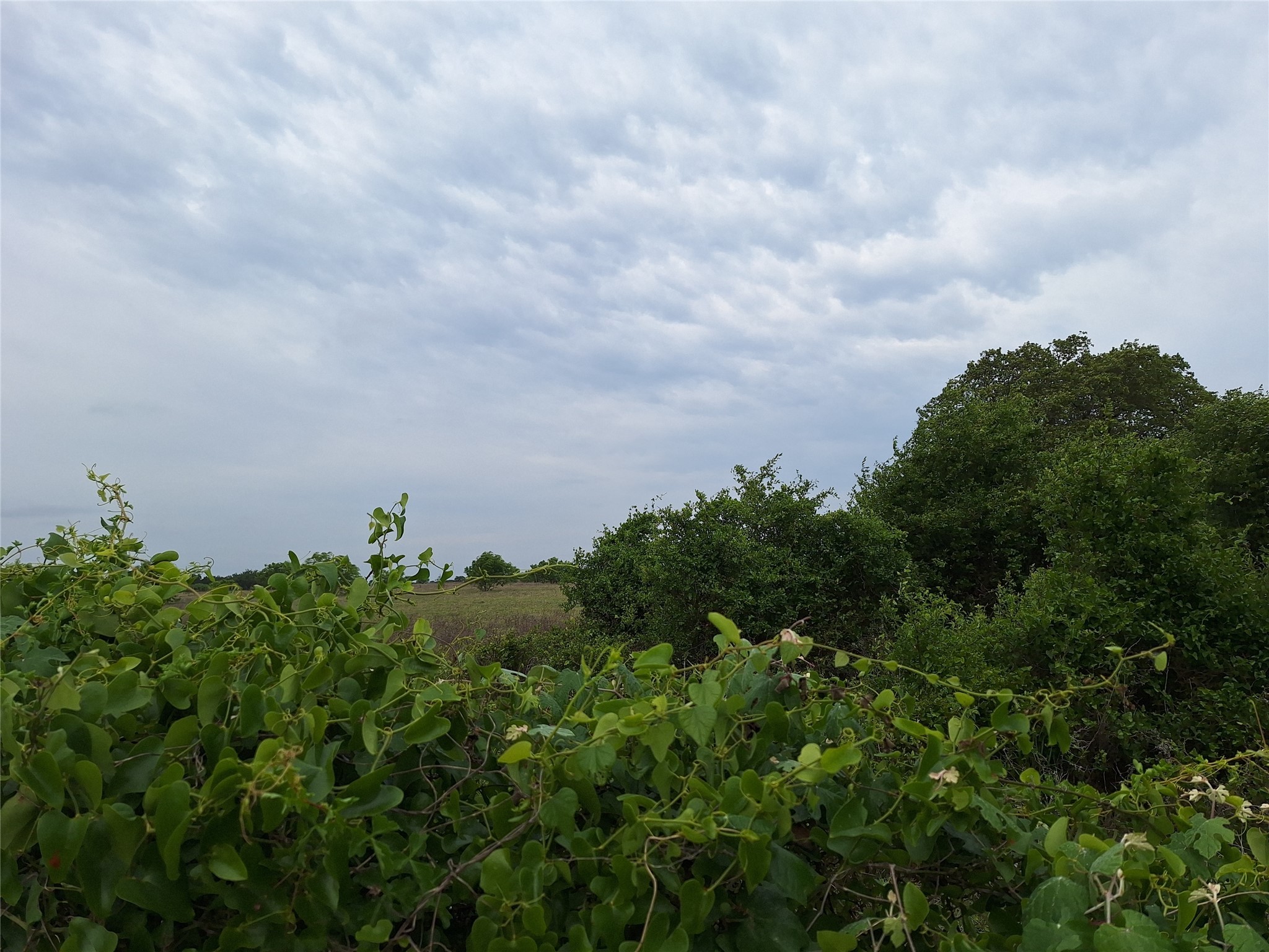 2735 Fm 45 Richland Springs TX 76871