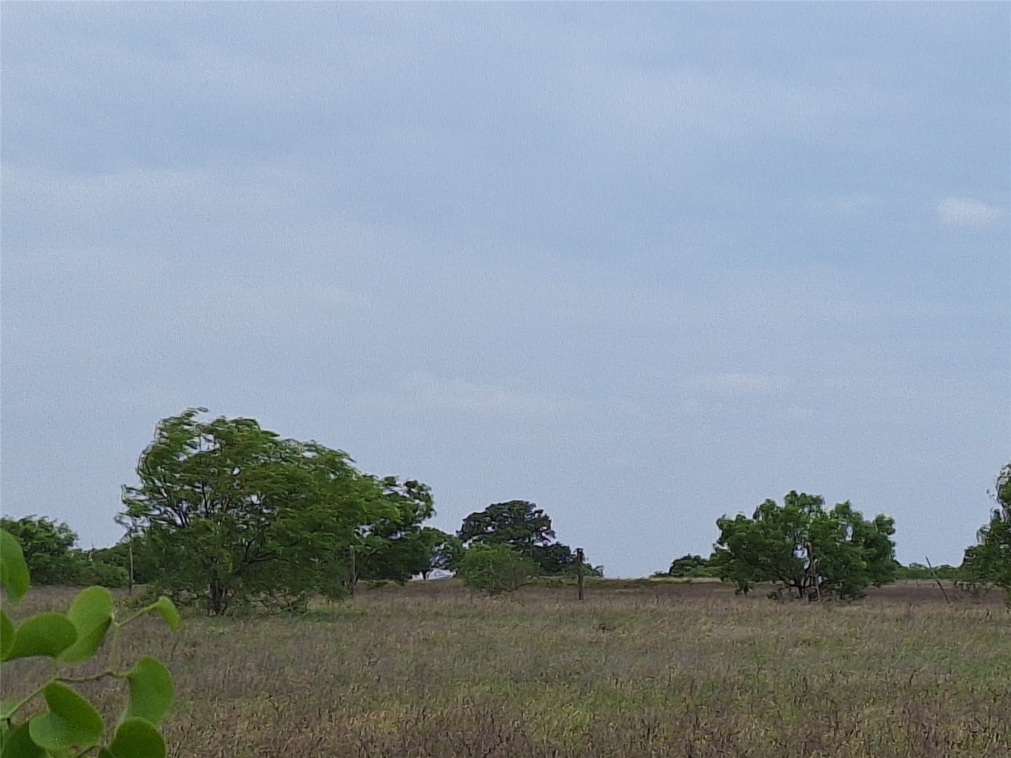 2735 Fm 45 Richland Springs TX 76871