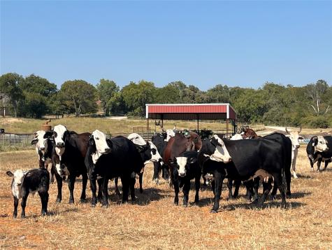 Tbd #16 Out Of 13345 Briar Road Azle TX 76020