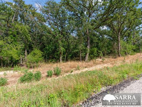 Lot 79 Kilkenney Road Poolville TX 76487