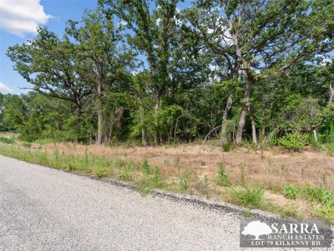 Lot 79 Kilkenney Road Poolville TX 76487