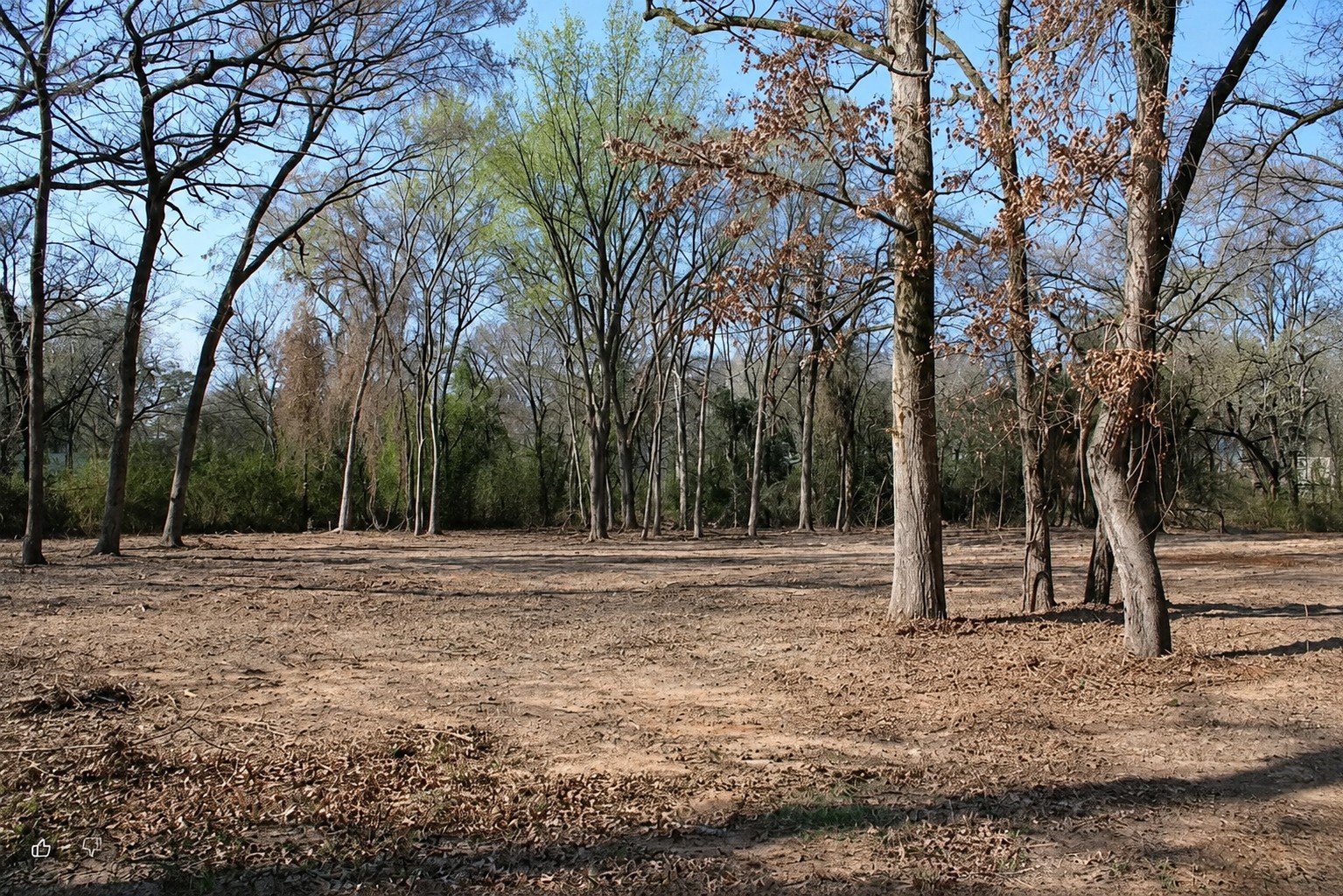 Tbd-a Lisa Lane Gun Barrel City TX 75156
