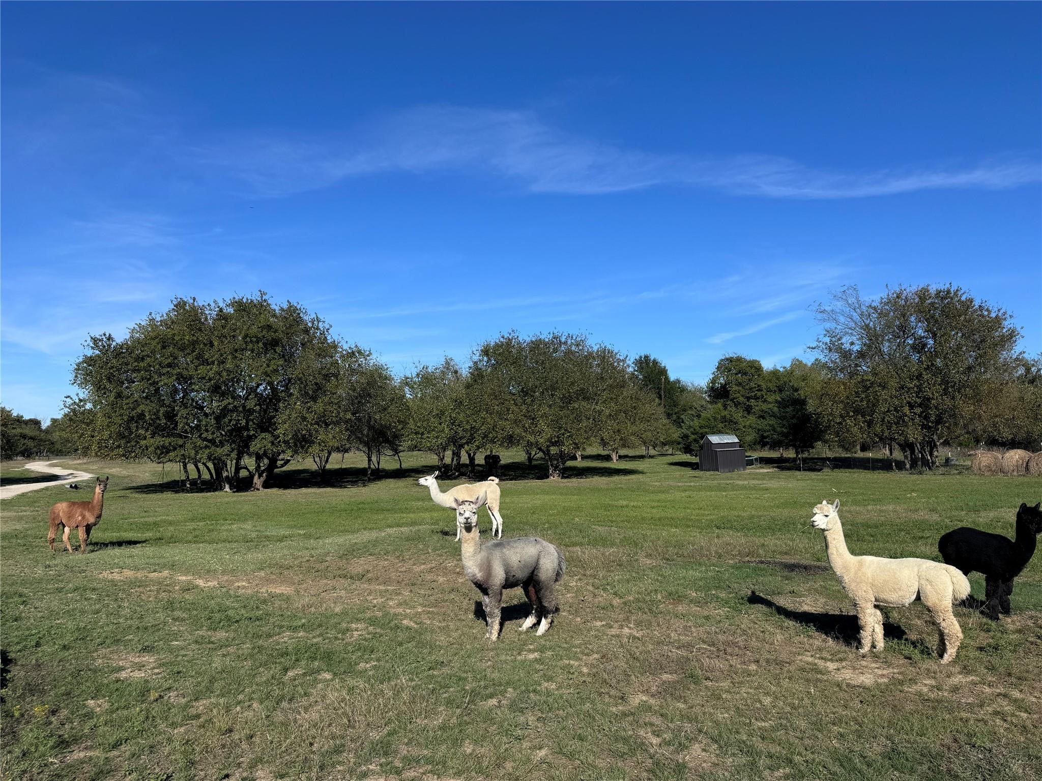 4081 Fm 2736 Campbell TX 75422